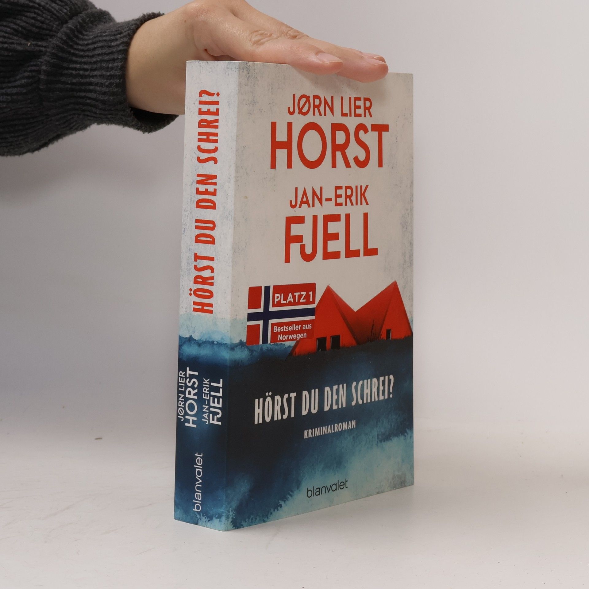 Jan-Erik Fjell Hörst du den Schrei?