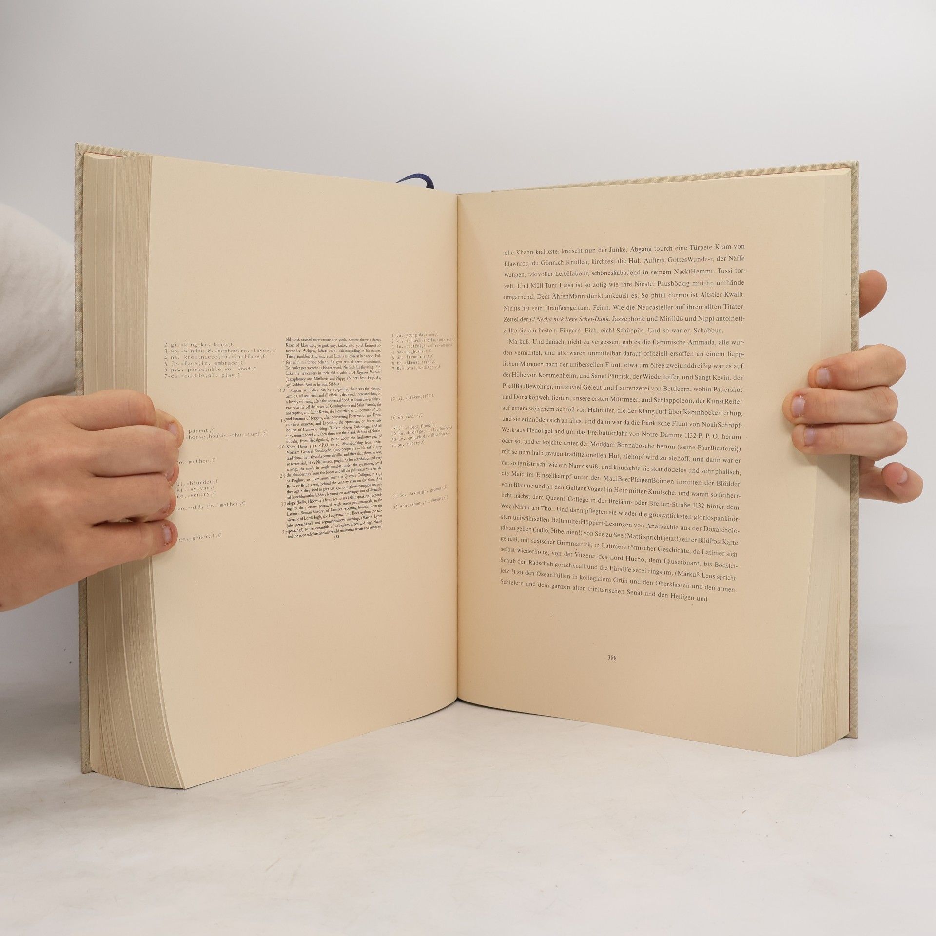 James Joyce Finnegans Wehg
