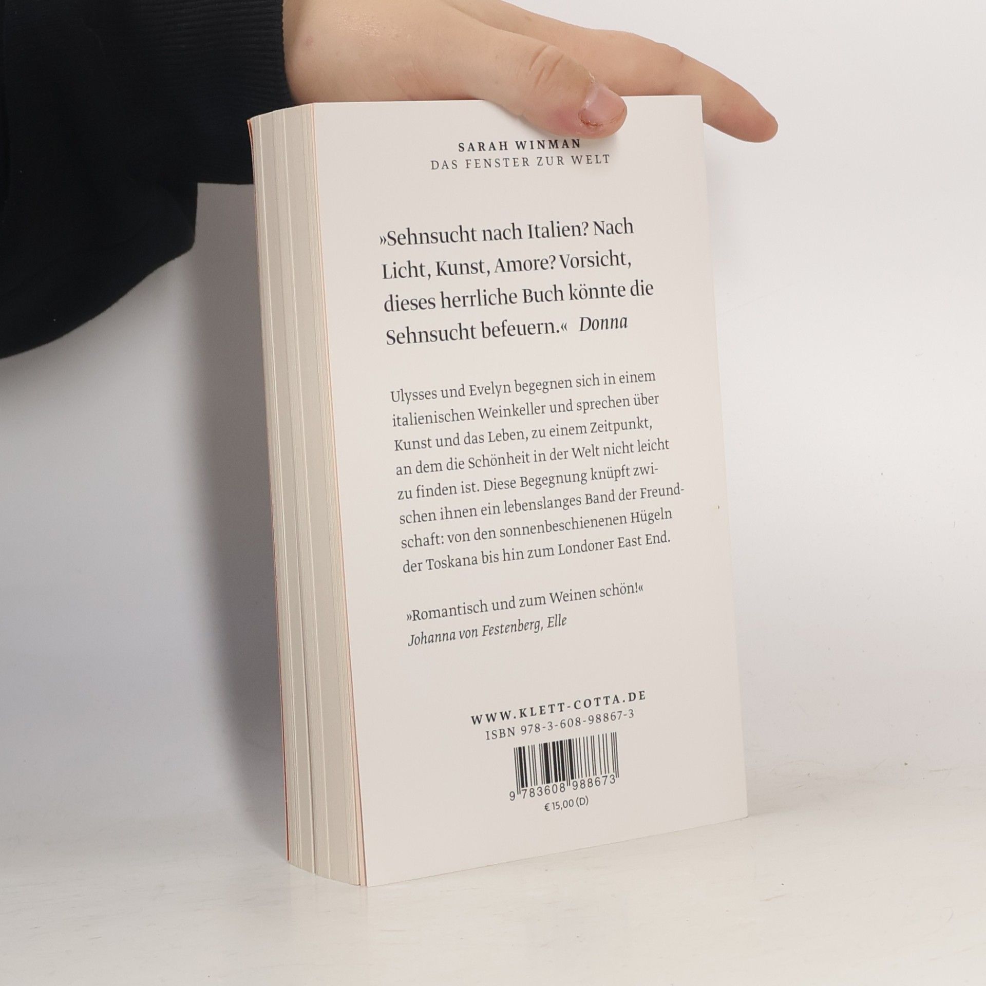 Sarah Winman Das Fenster zur Welt