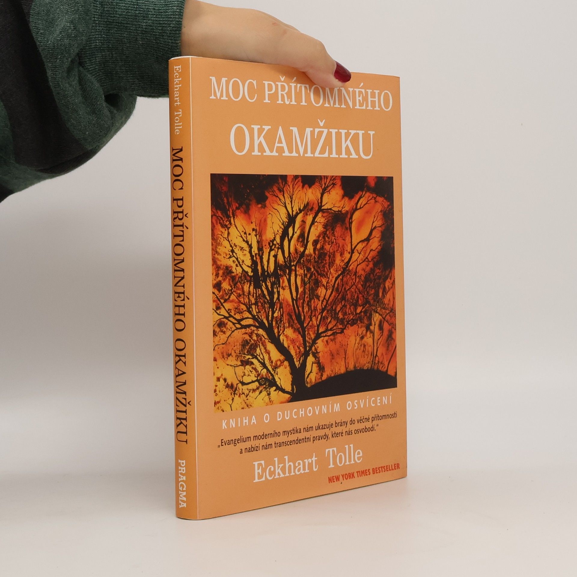 Eckhart Tolle Moc přítomného okamžiku