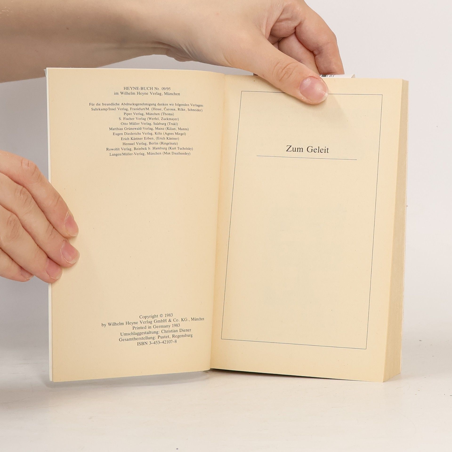 Georg von Turnitz Das grosse Hausbuch der Feste und Feiern