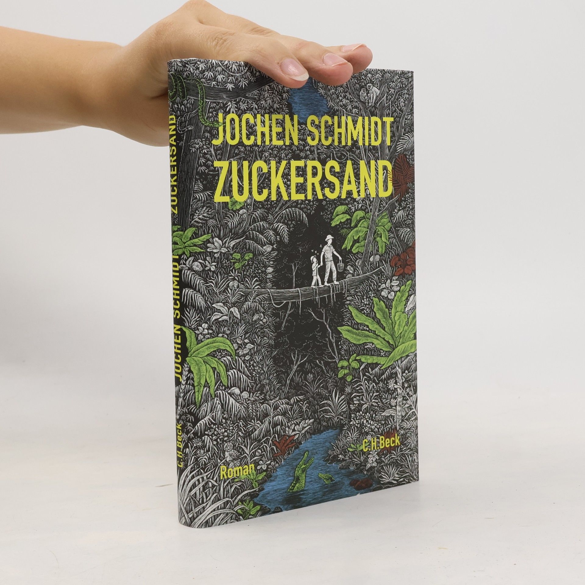 Jochen Schmidt Zuckersand