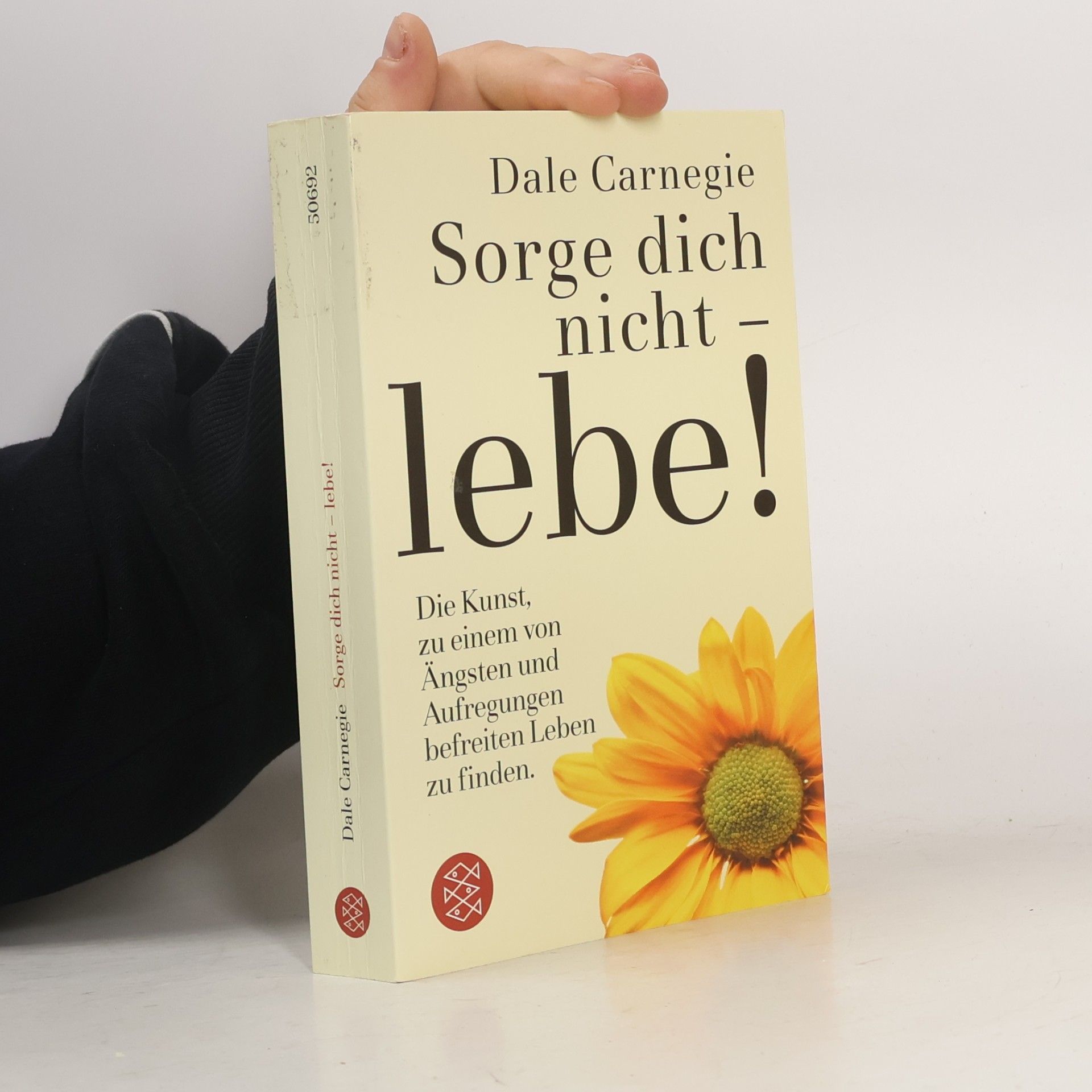 Dale Carnegie Sorge dich nicht - lebe!