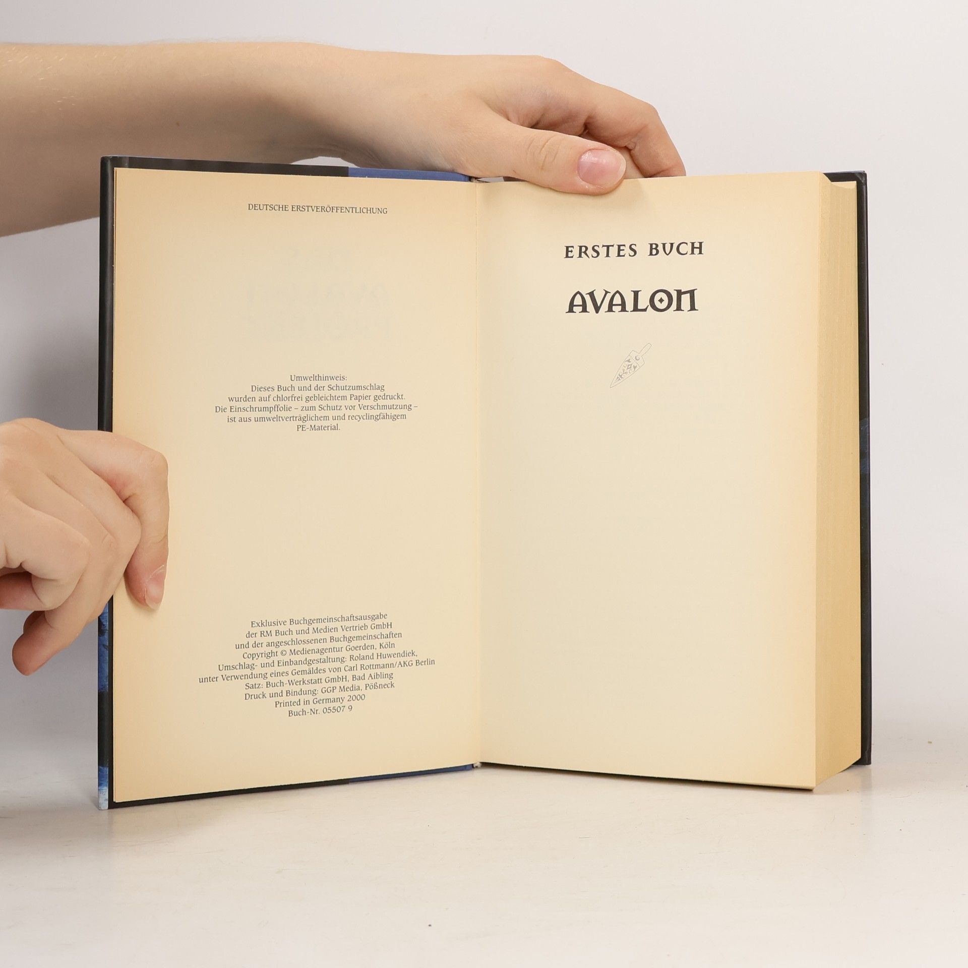 Wolfgang Hohlbein Das Avalon Projekt