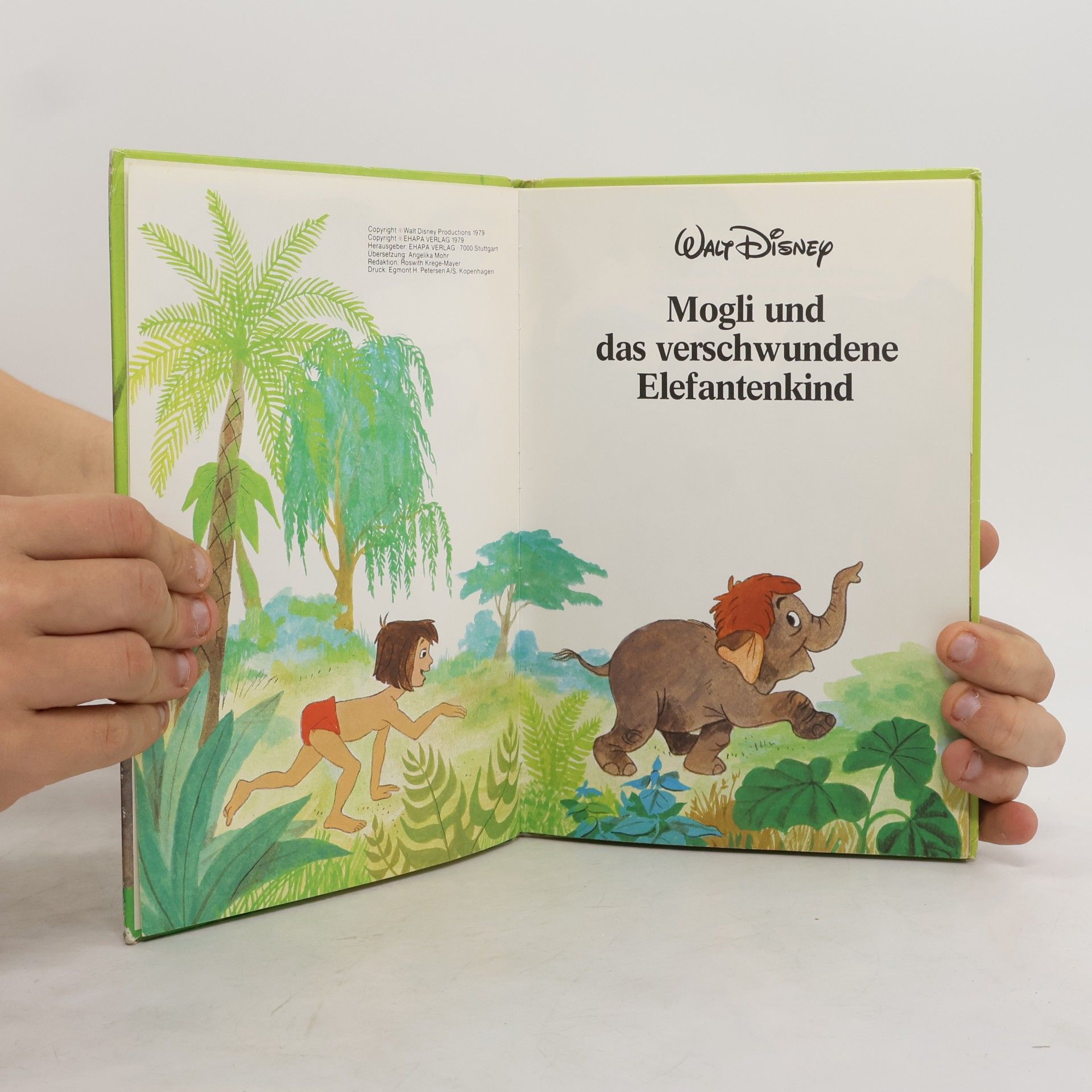 kolektiv Mogli und das verschwundene Elefantenkind
