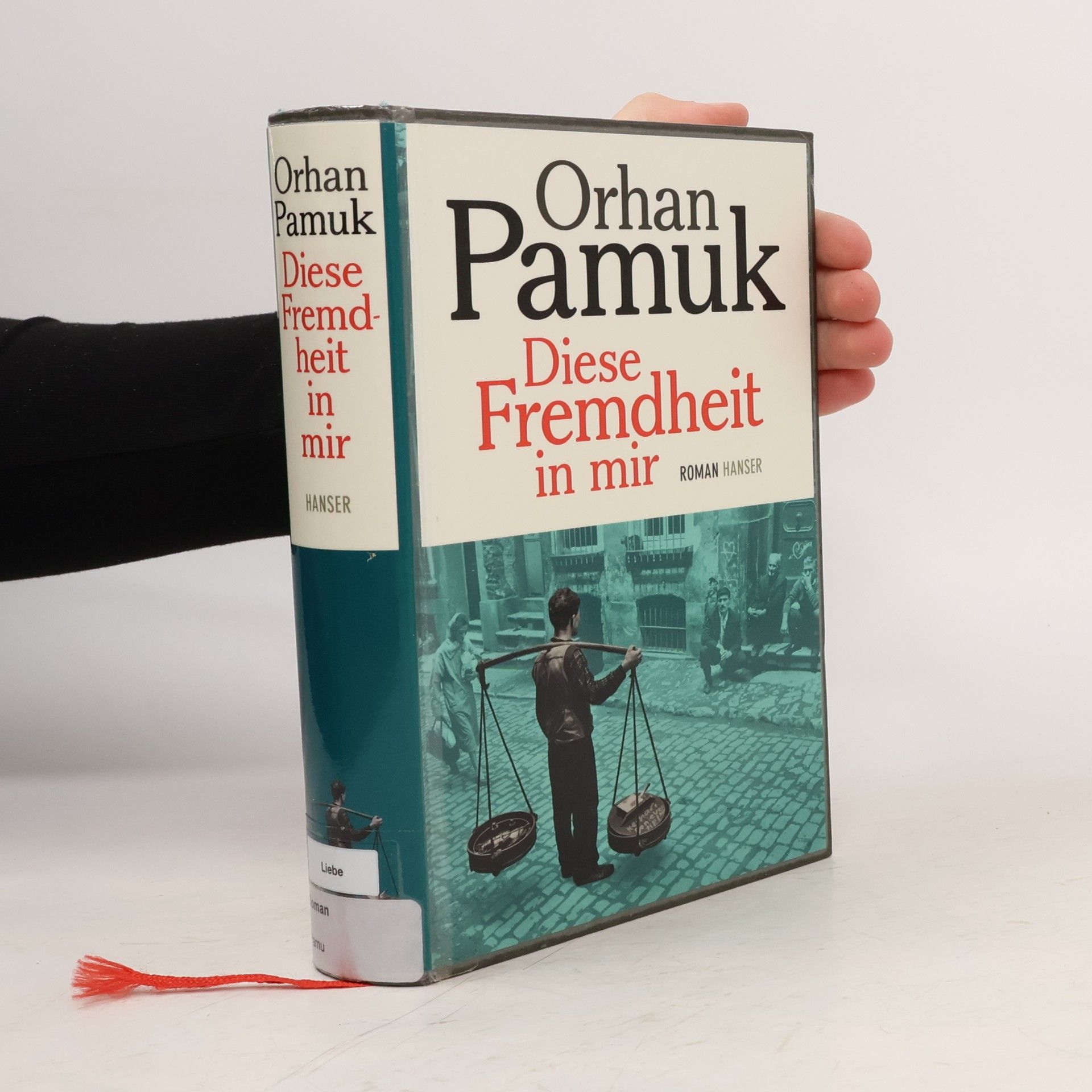 Diese Fremdheit in mir