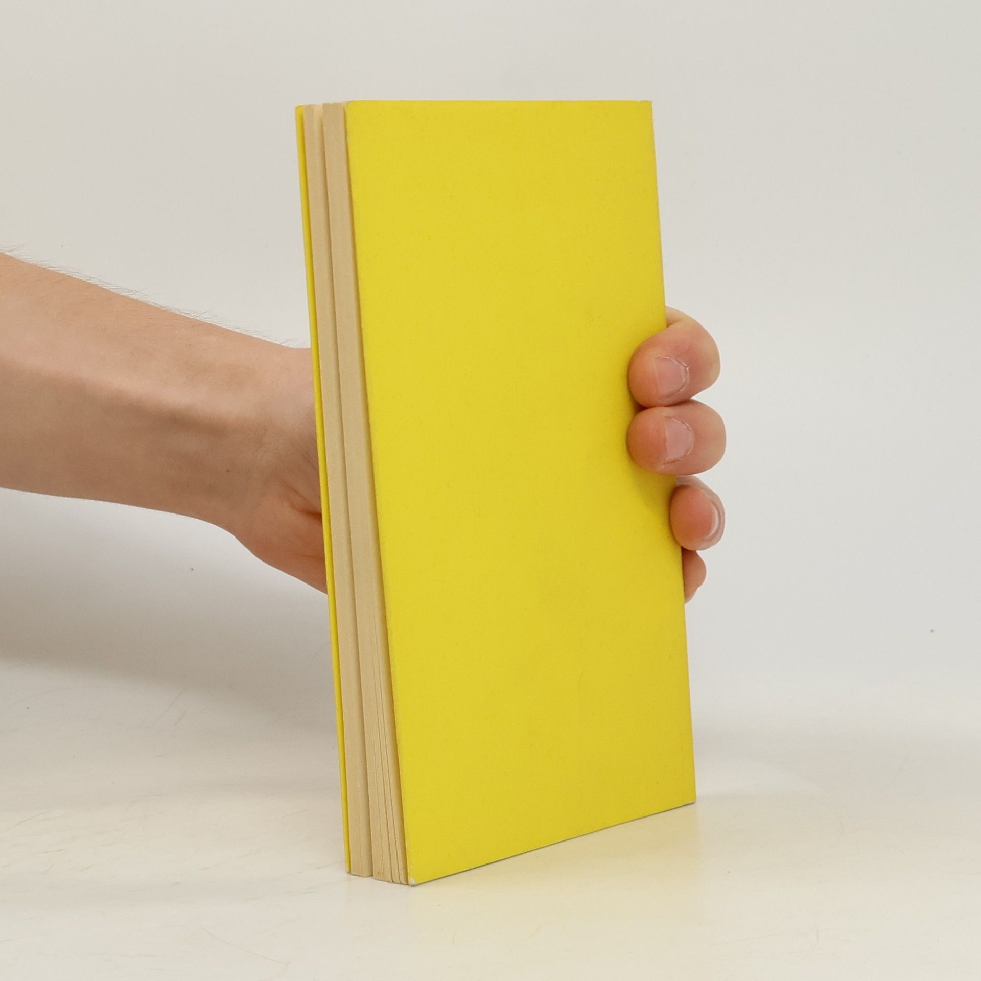 Hans Magnus Enzensberger Blindenschrift