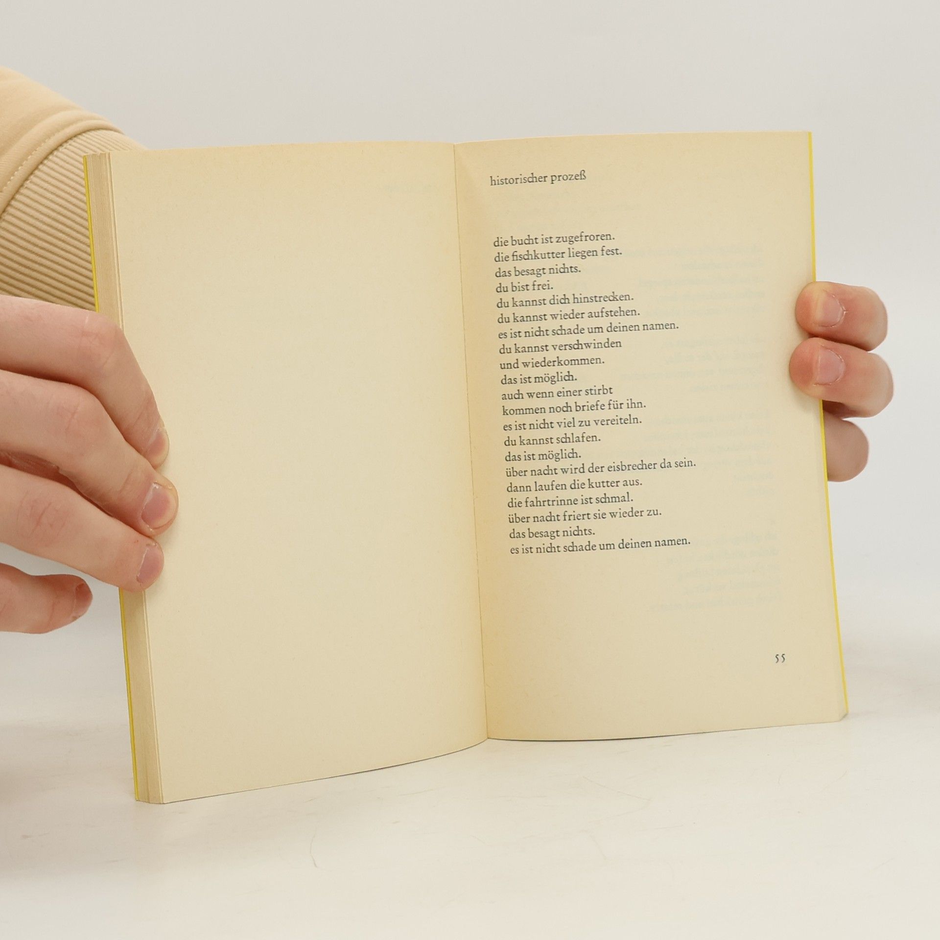Hans Magnus Enzensberger Blindenschrift