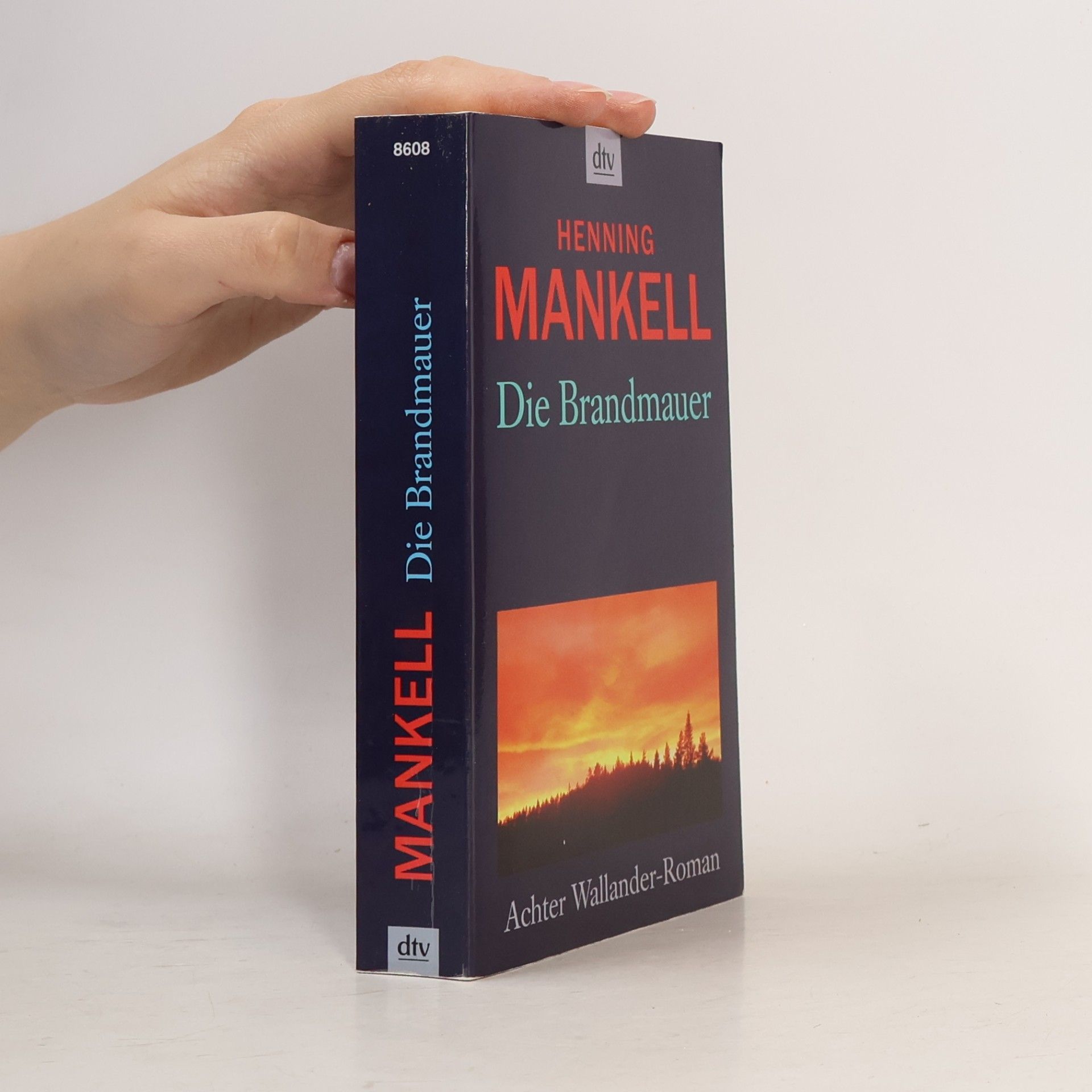 Henning Mankell Die Brandmauer