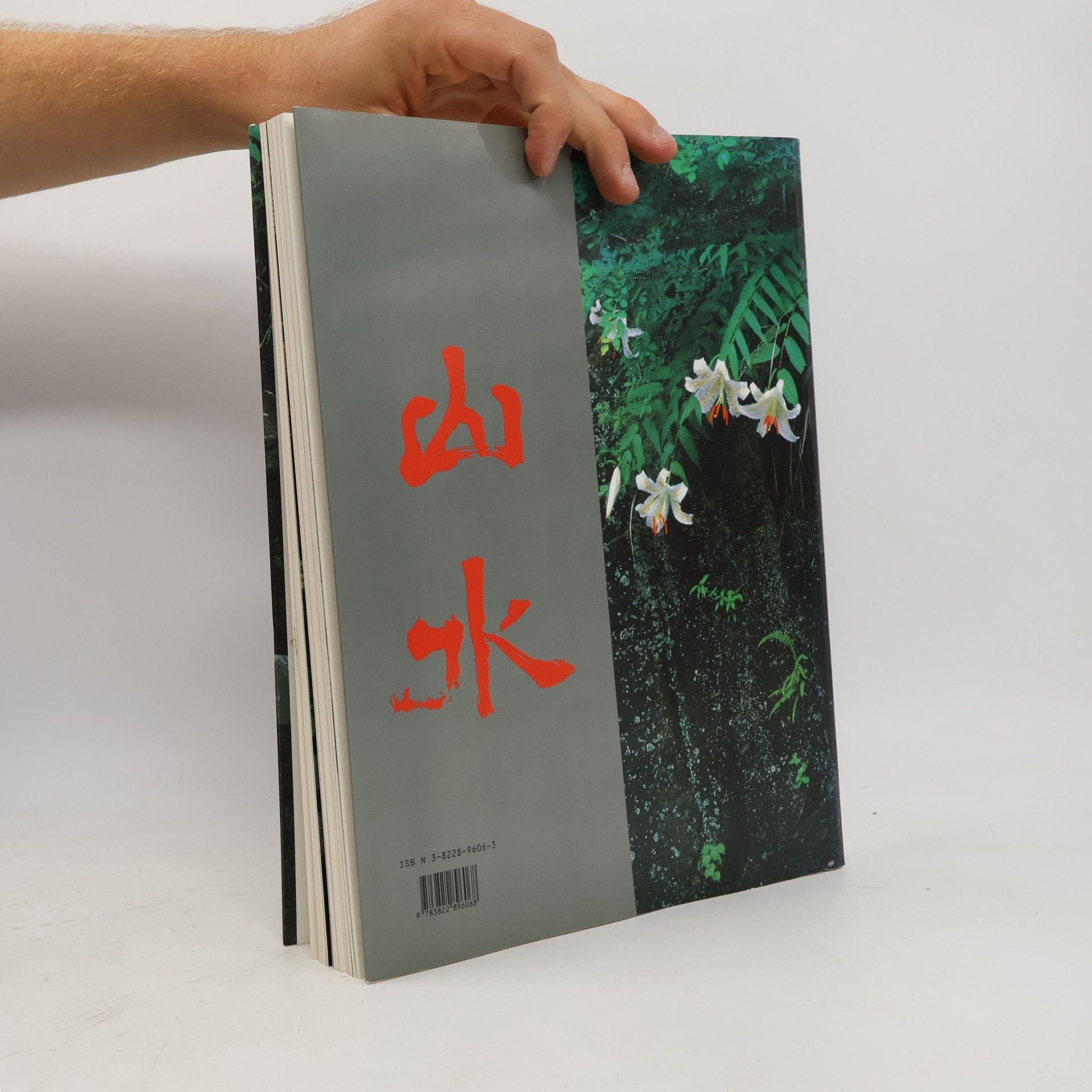 Gunter Nitschke Japanische Gärten