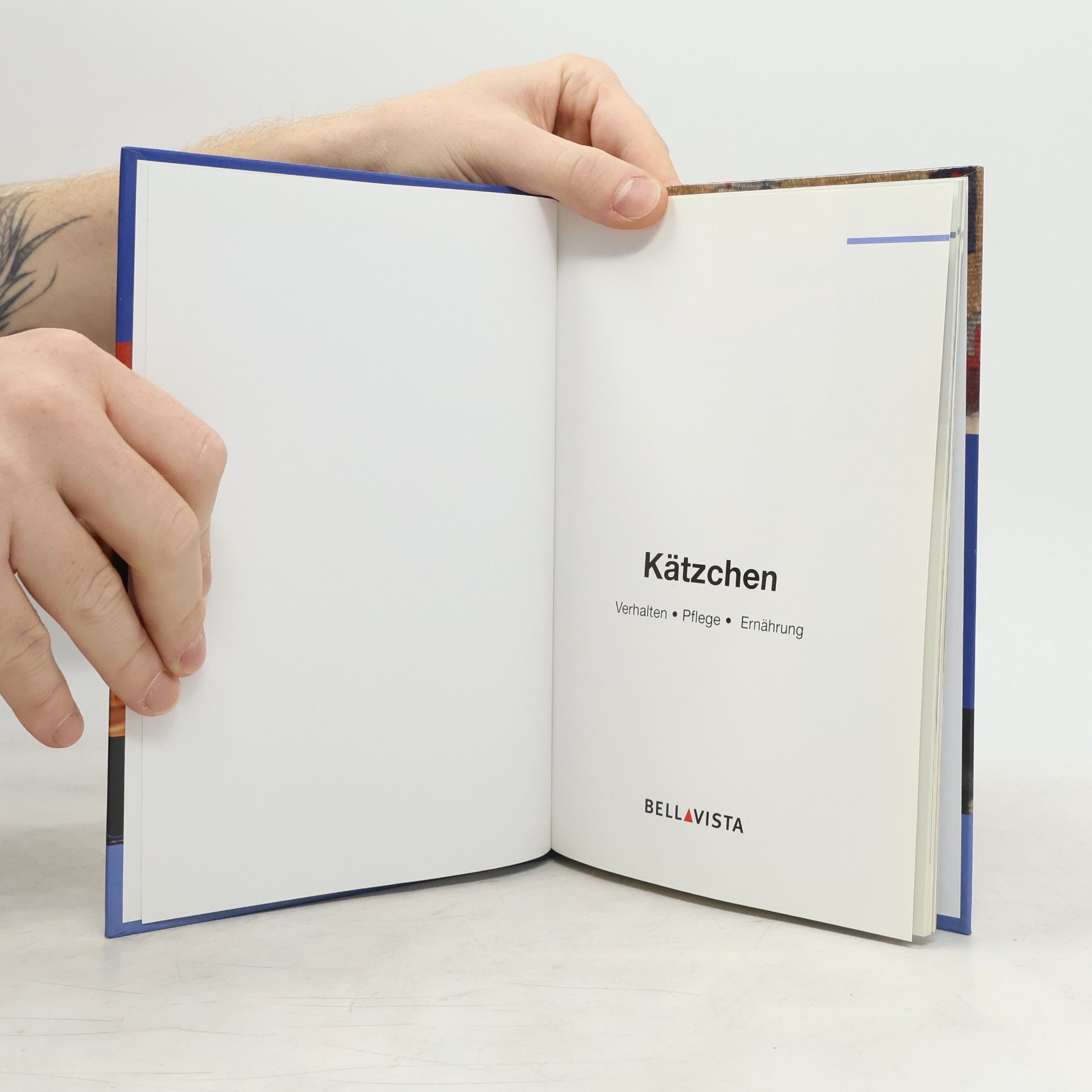 Der praktische Tierratgeber: Kätzchen