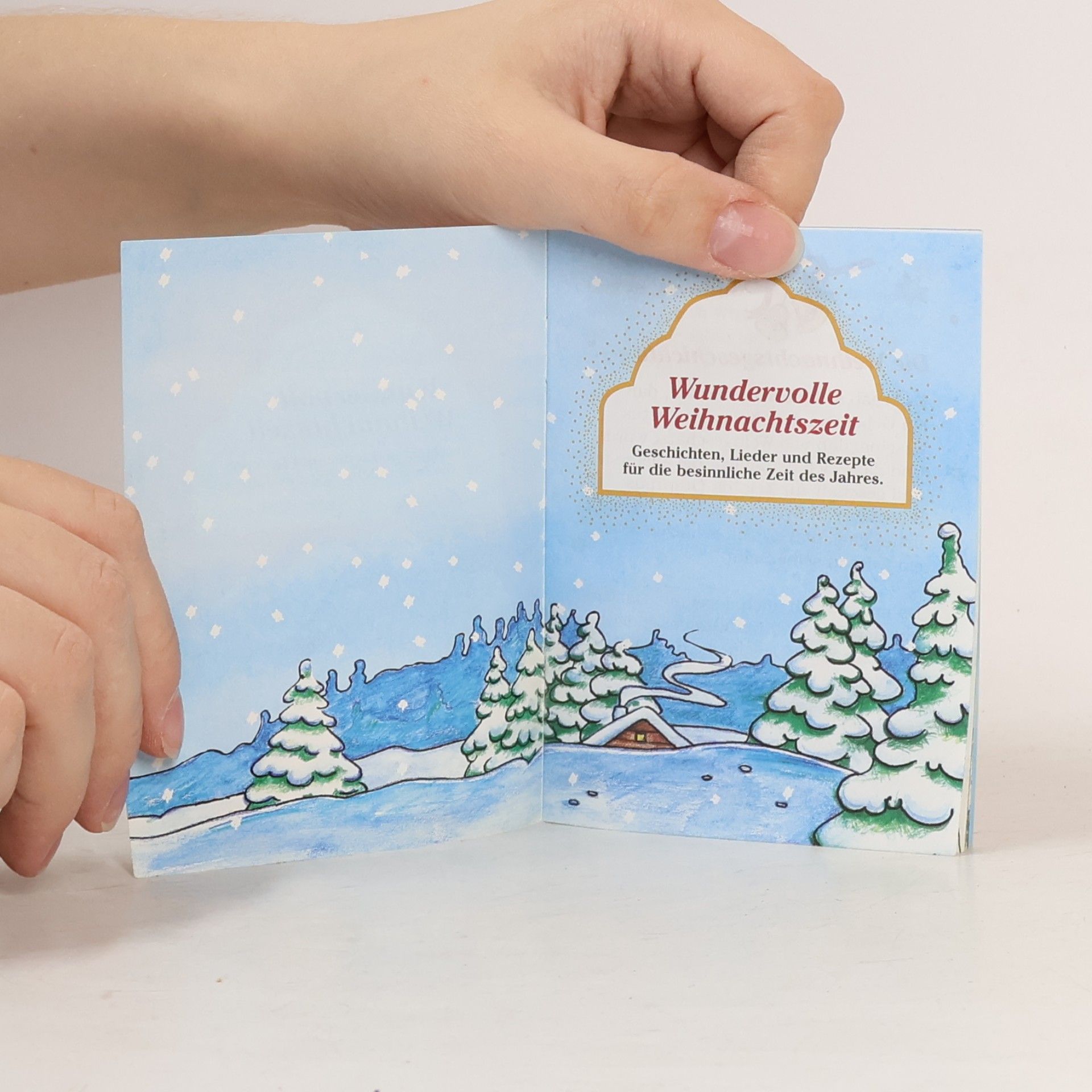 kolektiv Wundervolle Weihnachtszeit