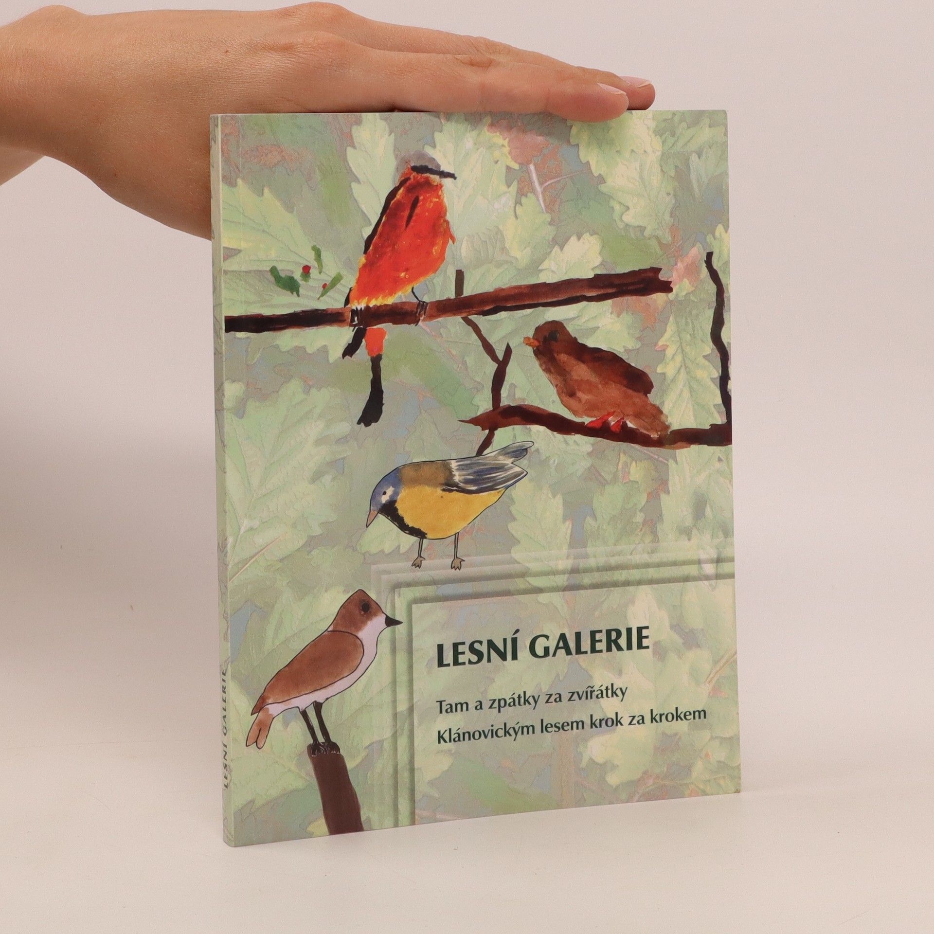 Kolektiv autorů Lesní galerie. Tam a zpátky za zvířátky. Klánovickým lesem krok za krokem