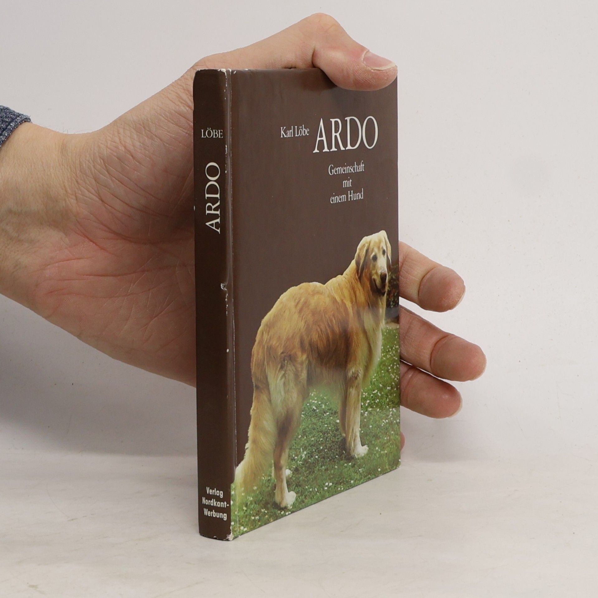 Ardo