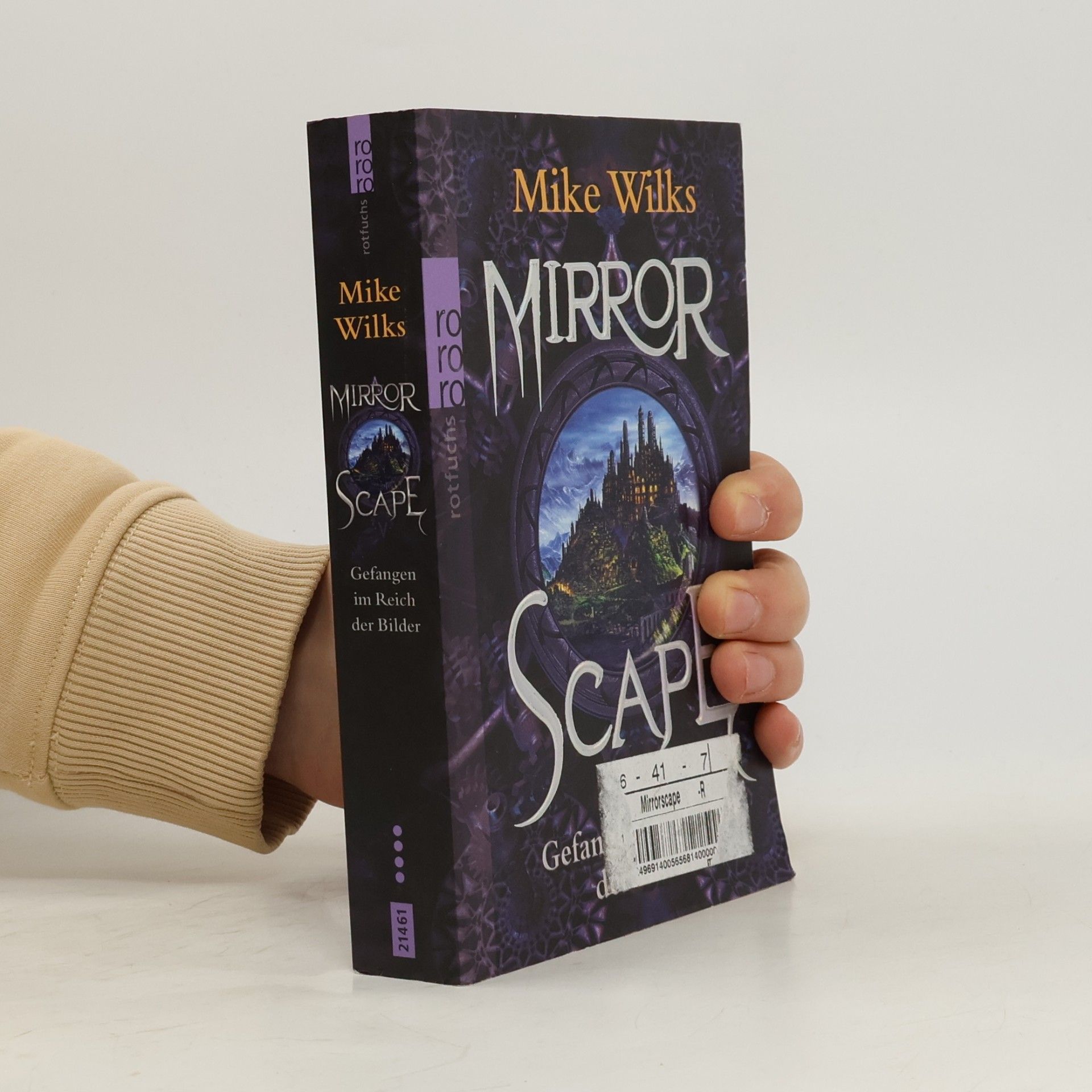 Mike Wilks Mirrorscape