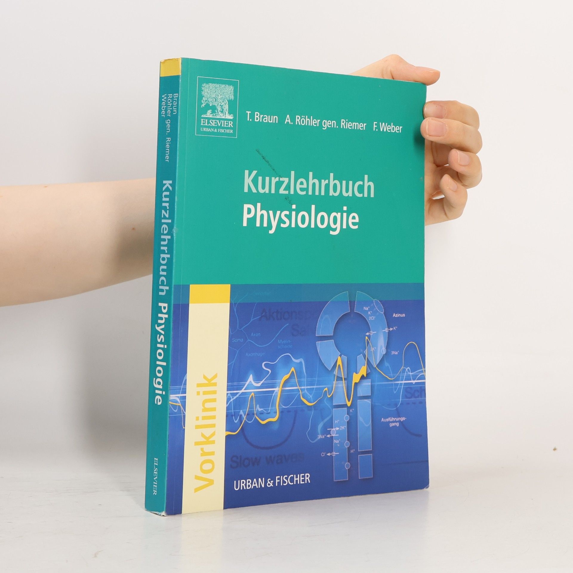 Thomas Braun Kurzlehrbuch Physiologie