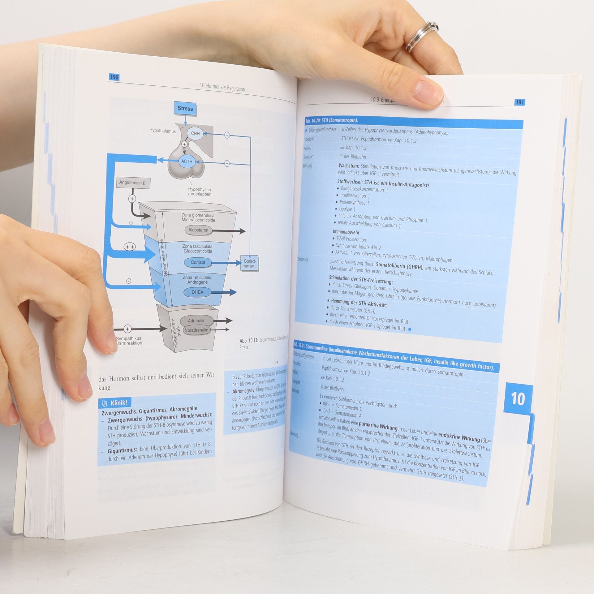 Thomas Braun Kurzlehrbuch Physiologie