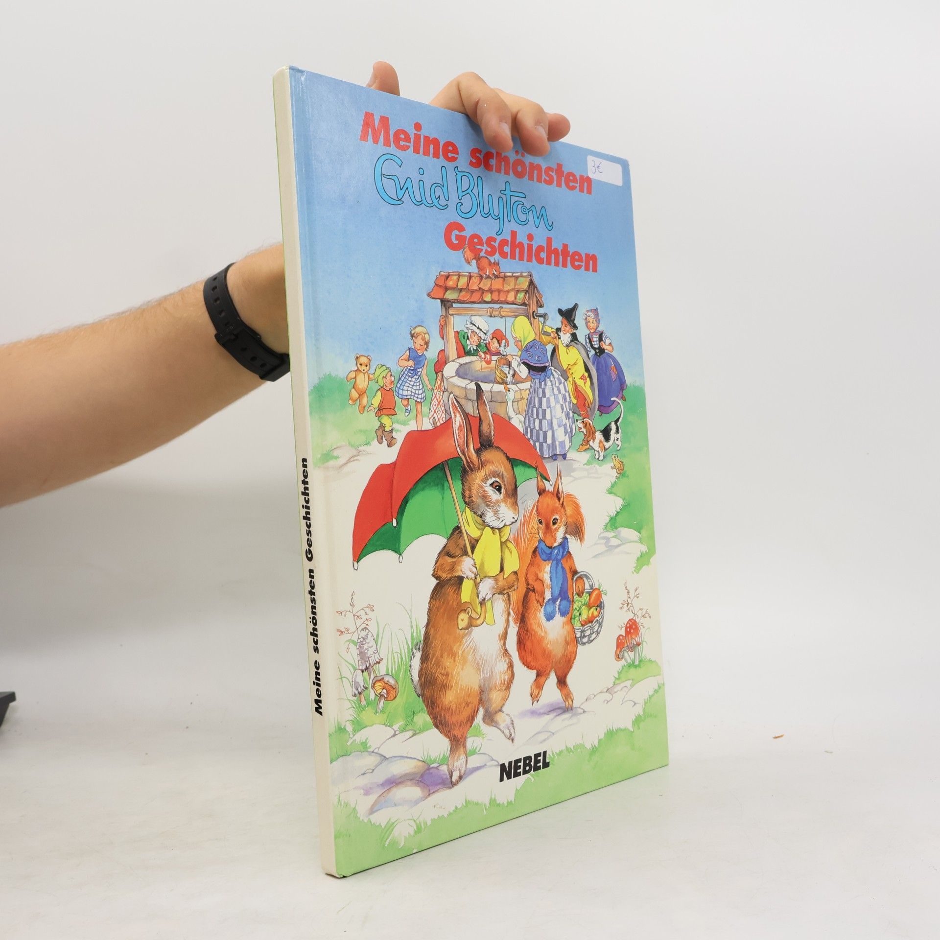 Enid Blyton Meine schönsten Geschichten