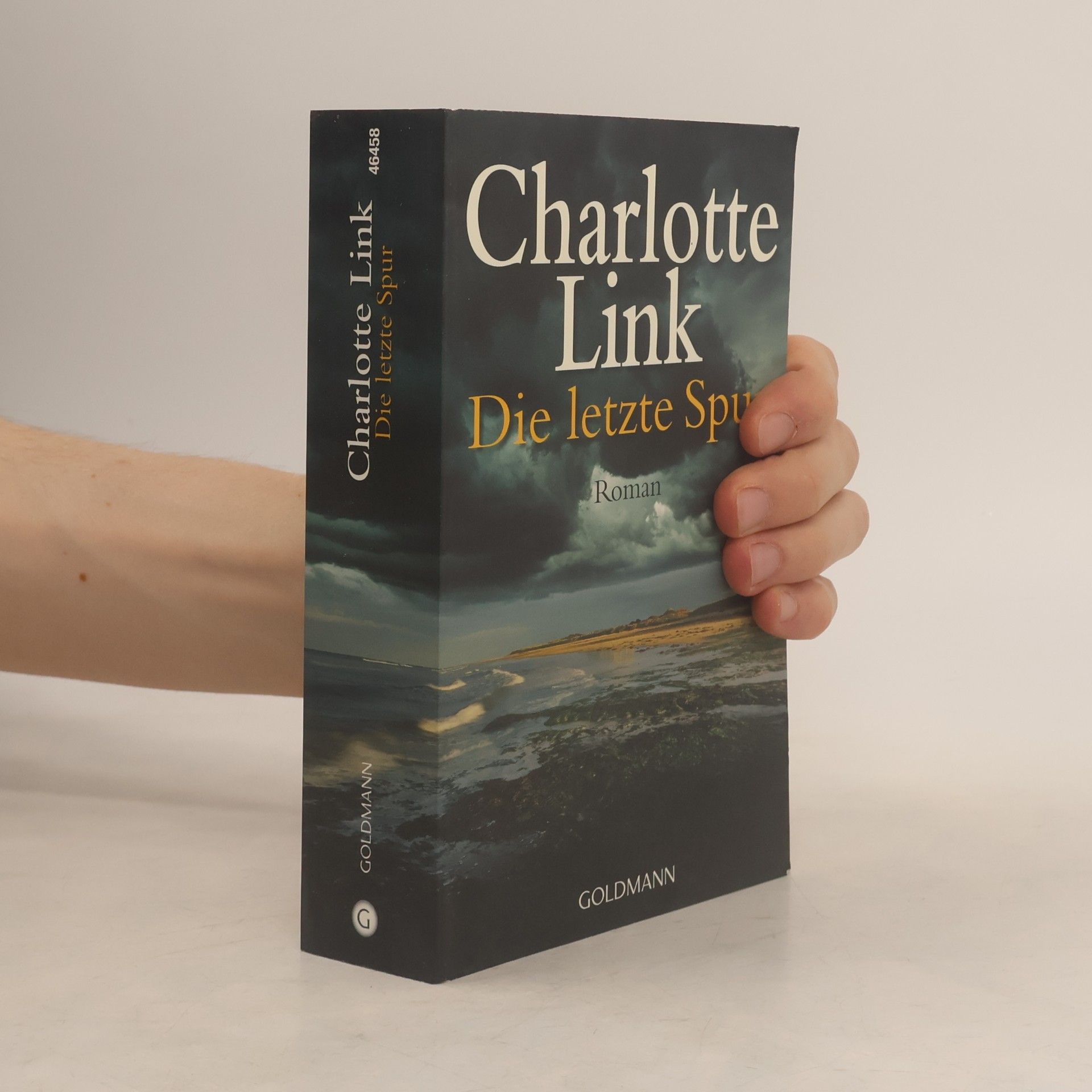 Charlotte Link Die letzte Spur