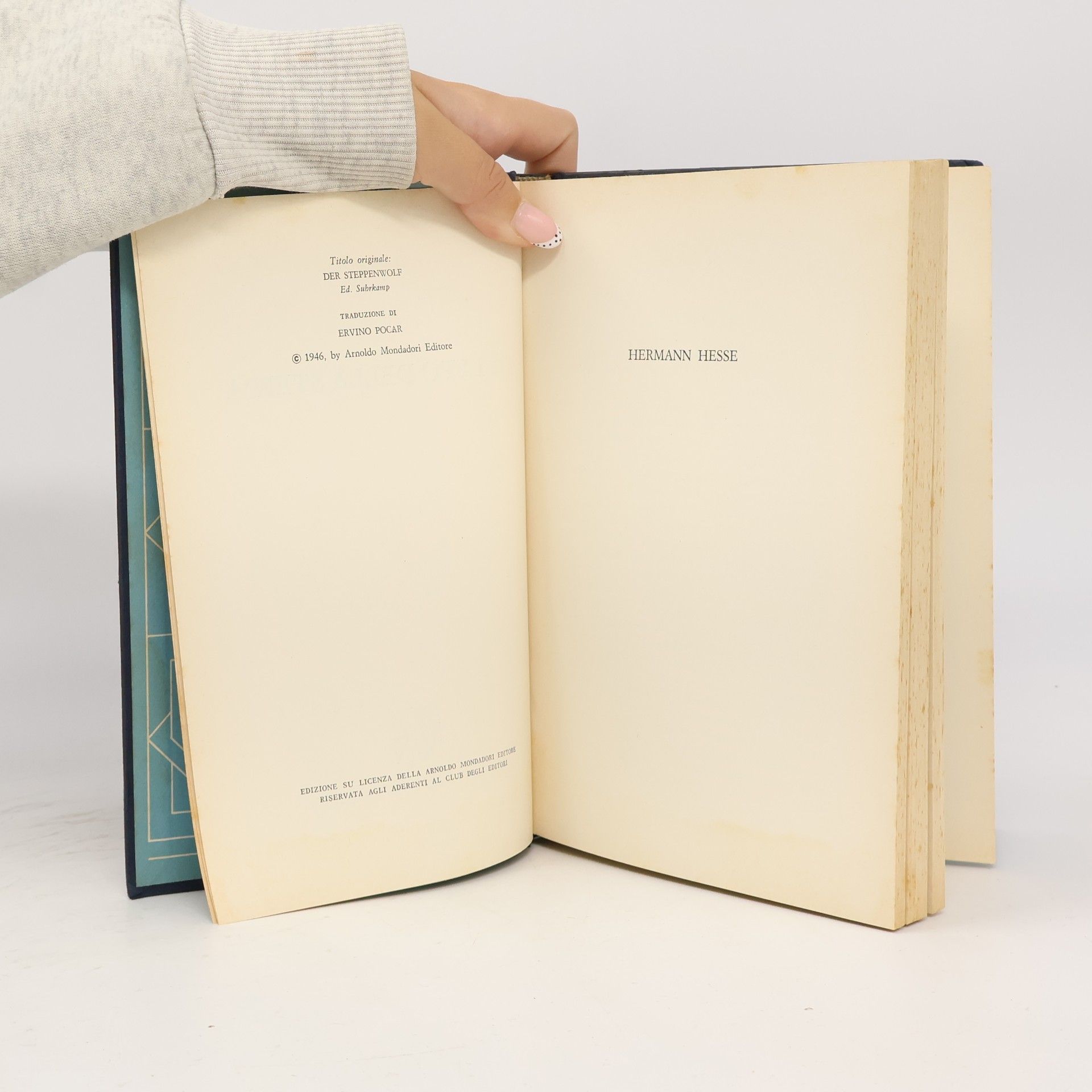 Hermann Hesse Il lupo della steppa