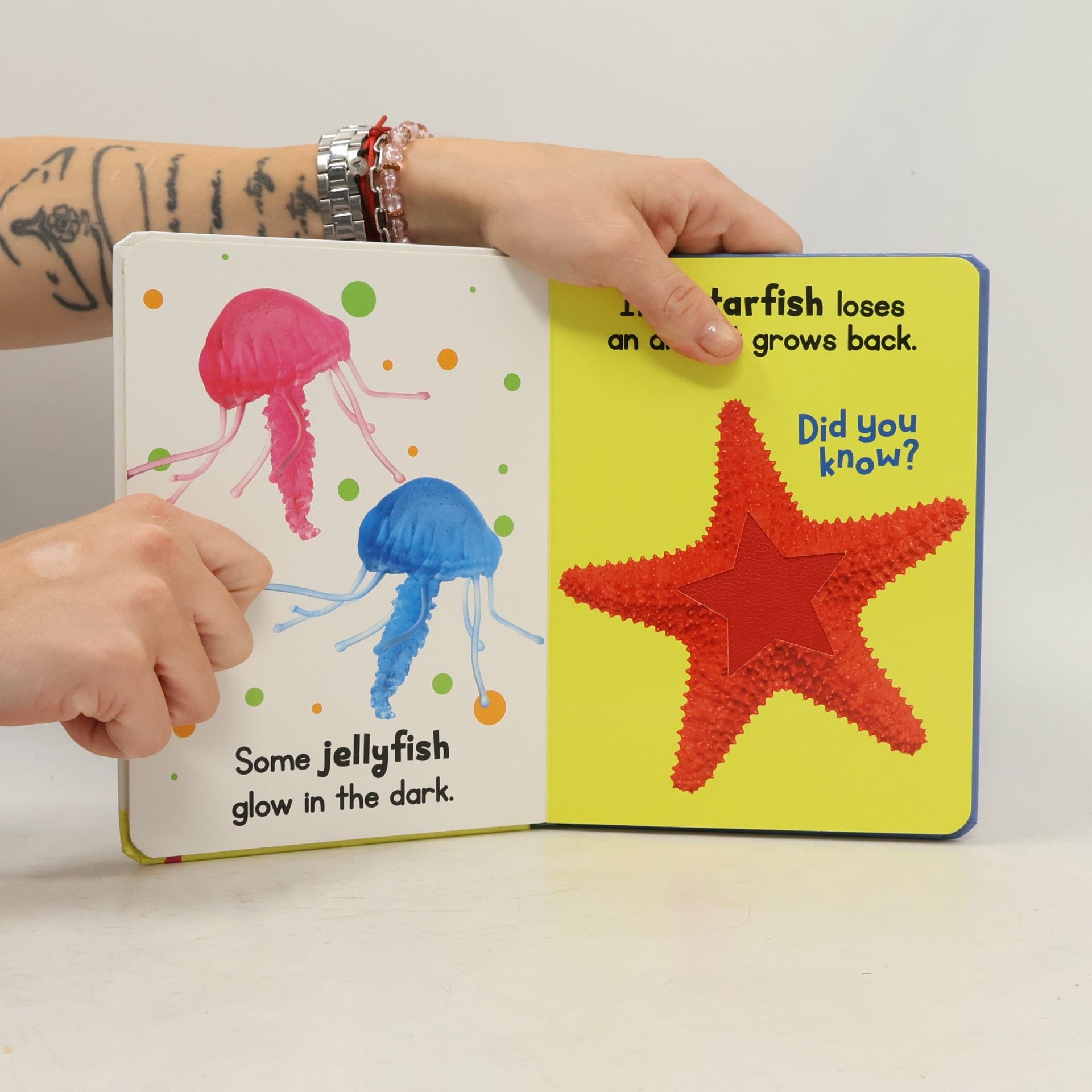 Little Hippo Books Ocean Friends - Touch and Feel Board Book - Sensory Board Book