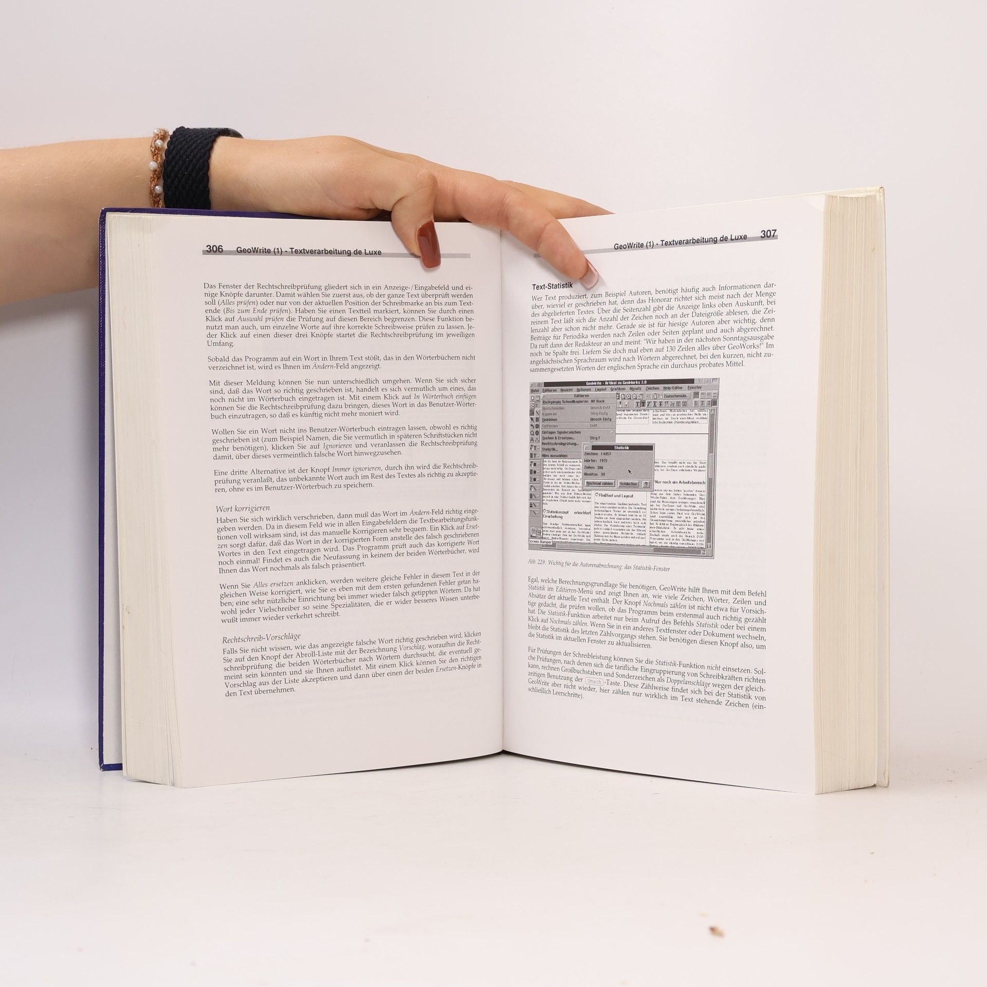 Burkhard Oerttel Das grosse Buch zu GeoWorks 2.0