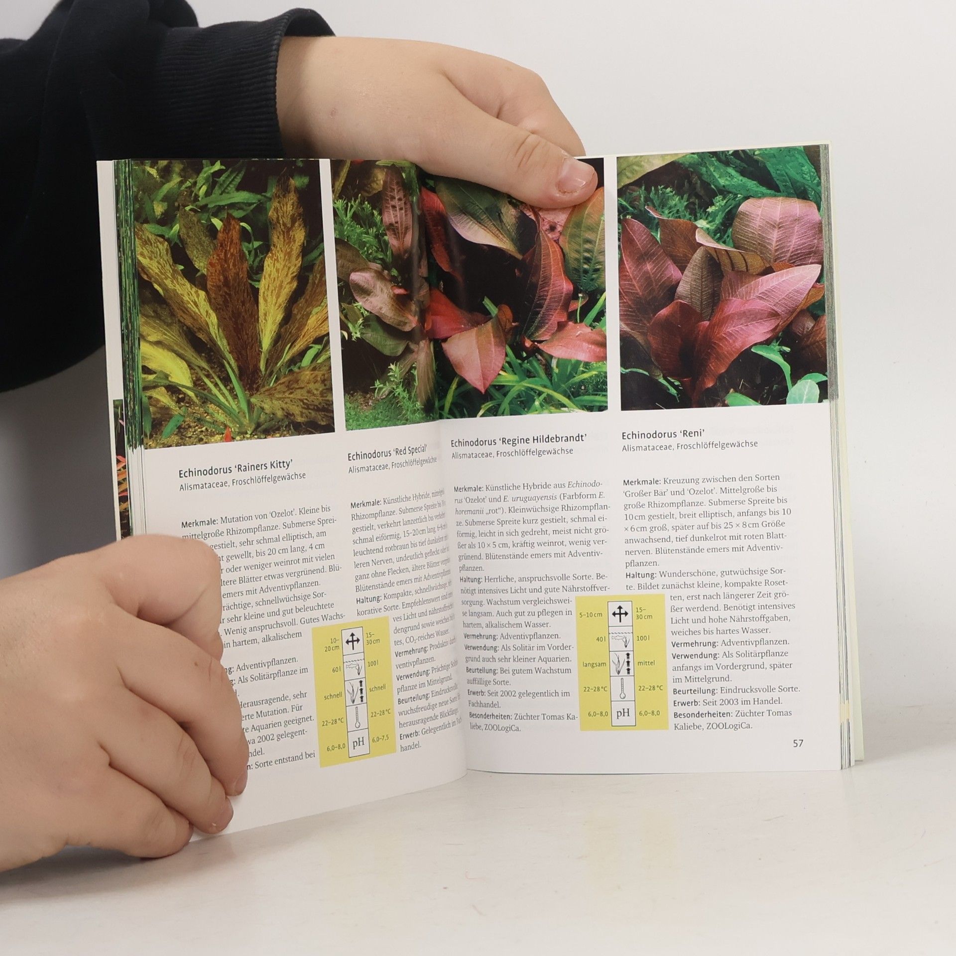 Christel Kasselmann Taschenatlas Aquarienpflanzen