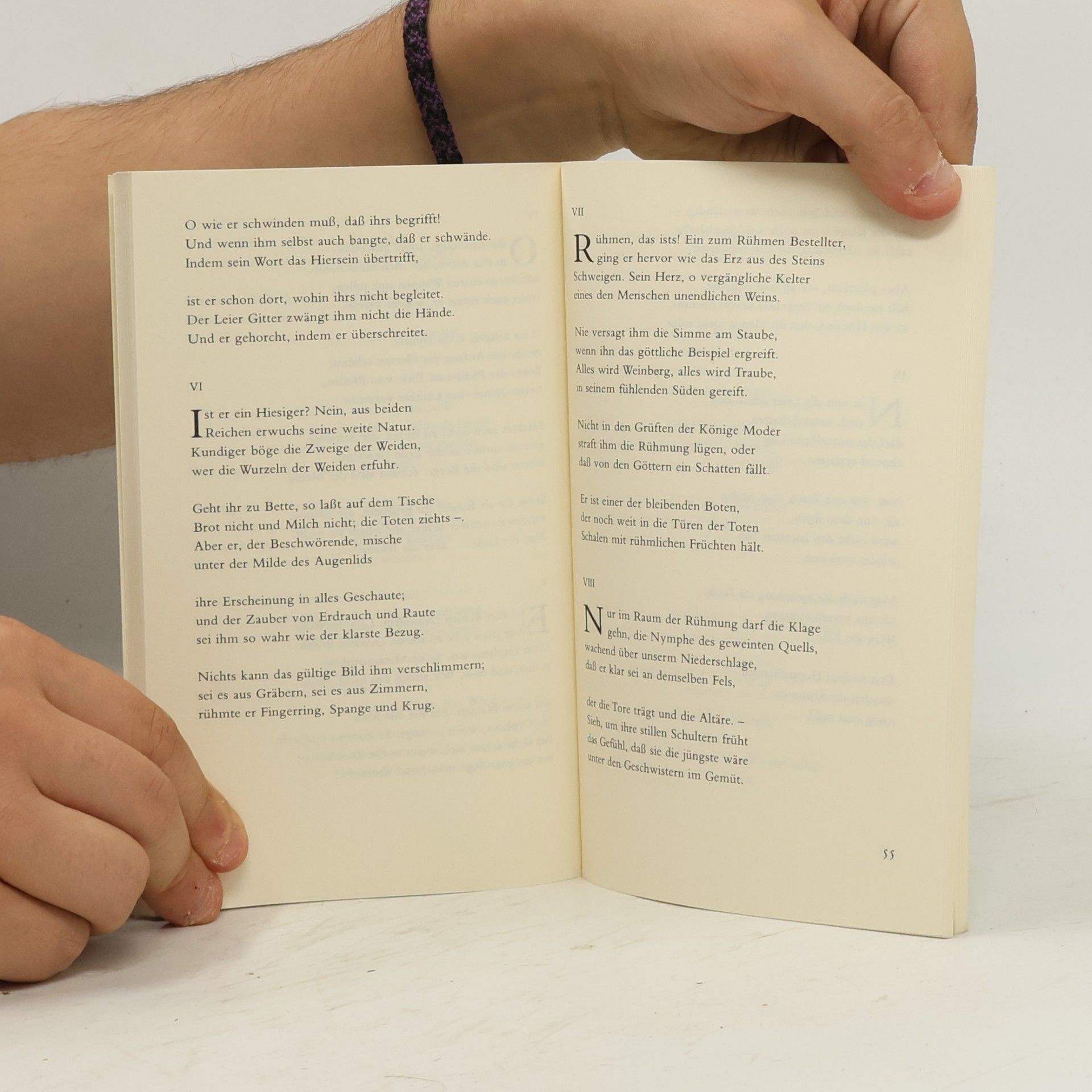 Rainer Maria Rilke Duineser Elegien. Die Sonette an Orpheus