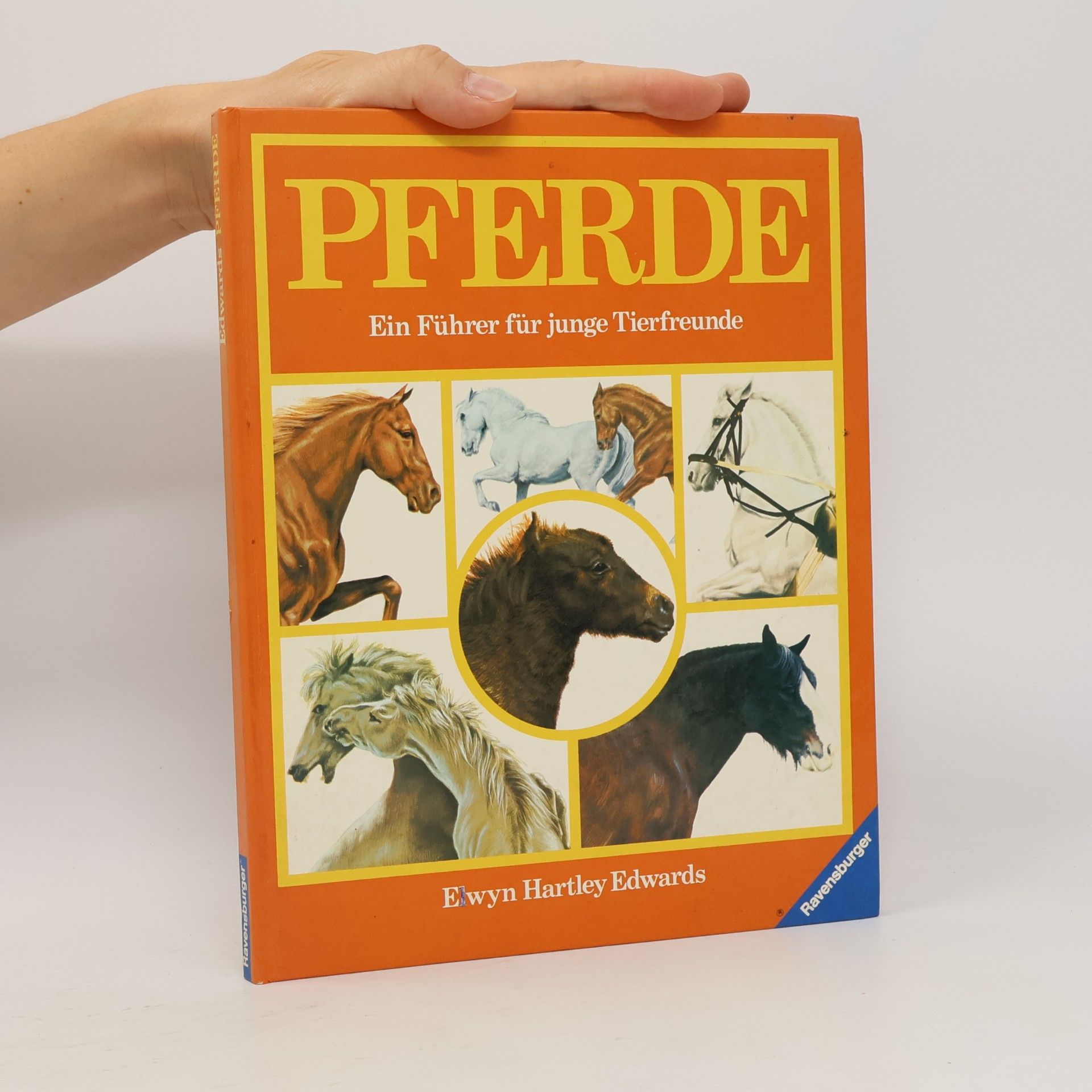 Elwyn Hartley Edwards Pferde