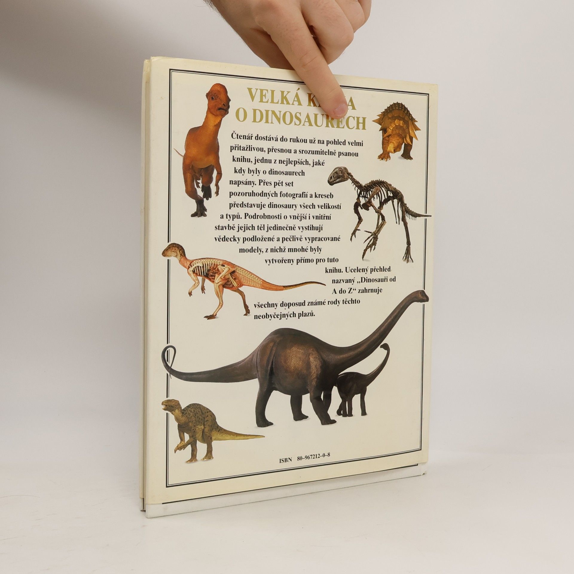 David Lambert Velká kniha o dinosaurech