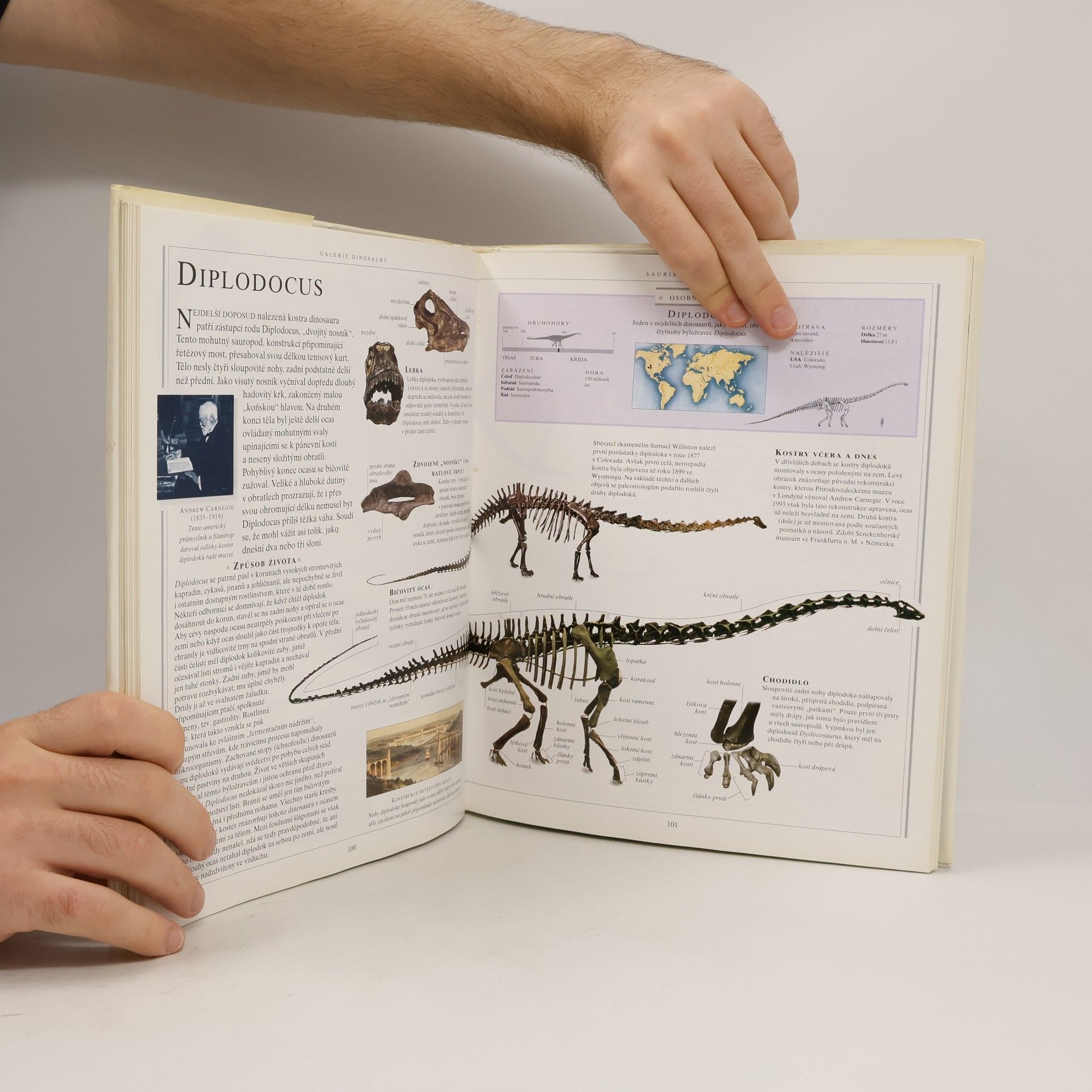 David Lambert Velká kniha o dinosaurech