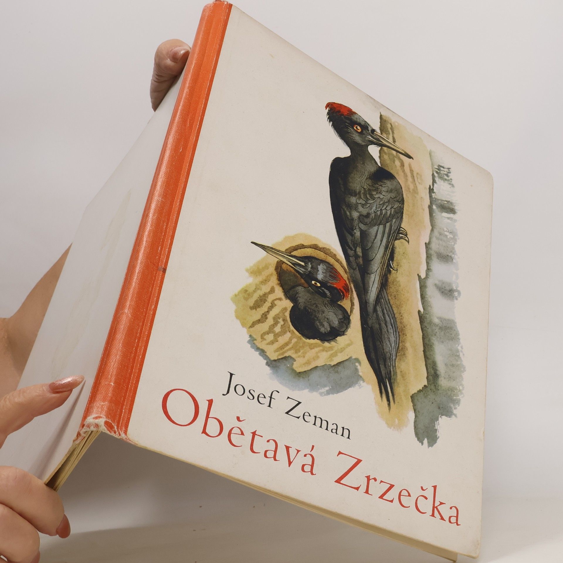 Josef Zeman Obětavá Zrzečka