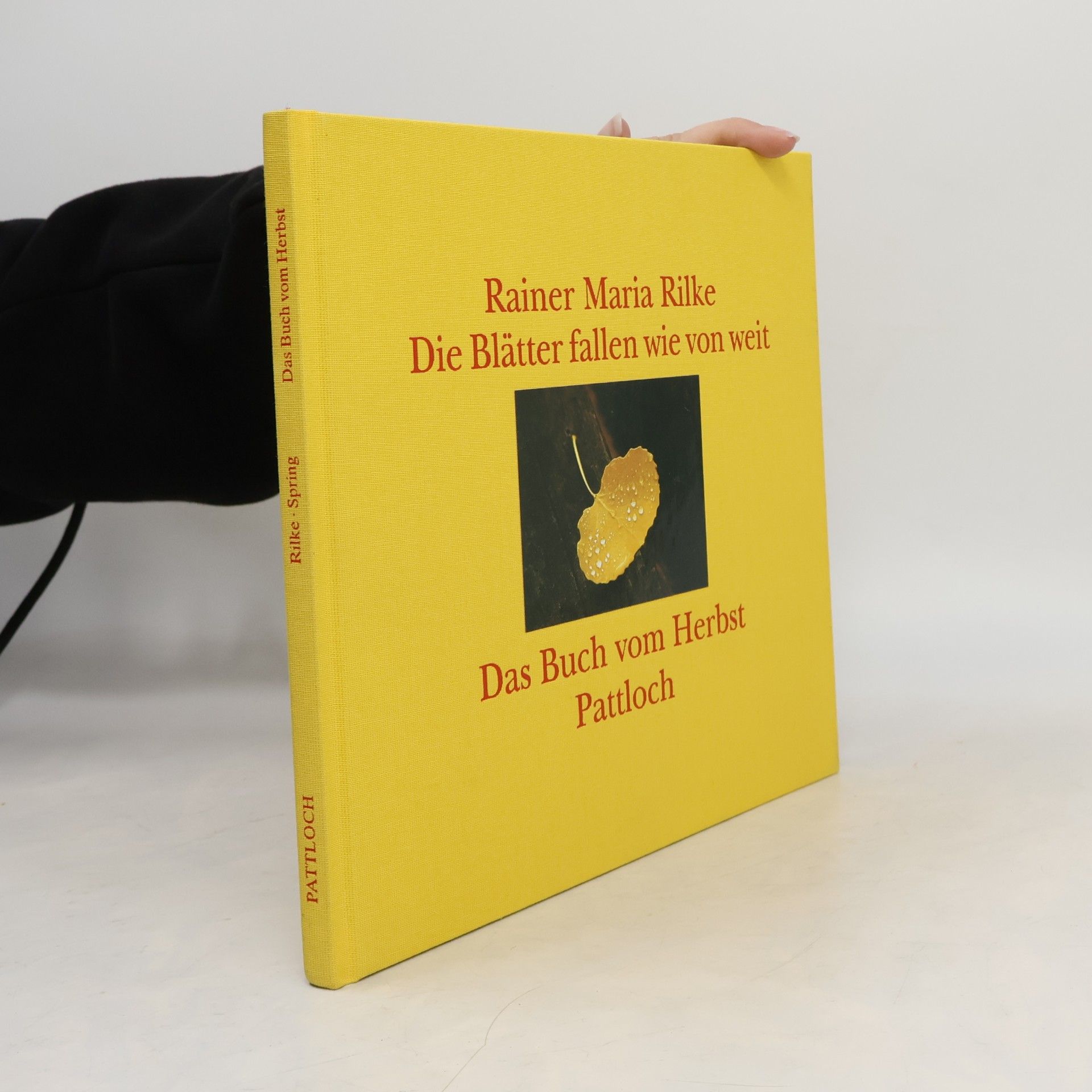Die Blätter fallen wie von weit. Das Buch vom Herbst
