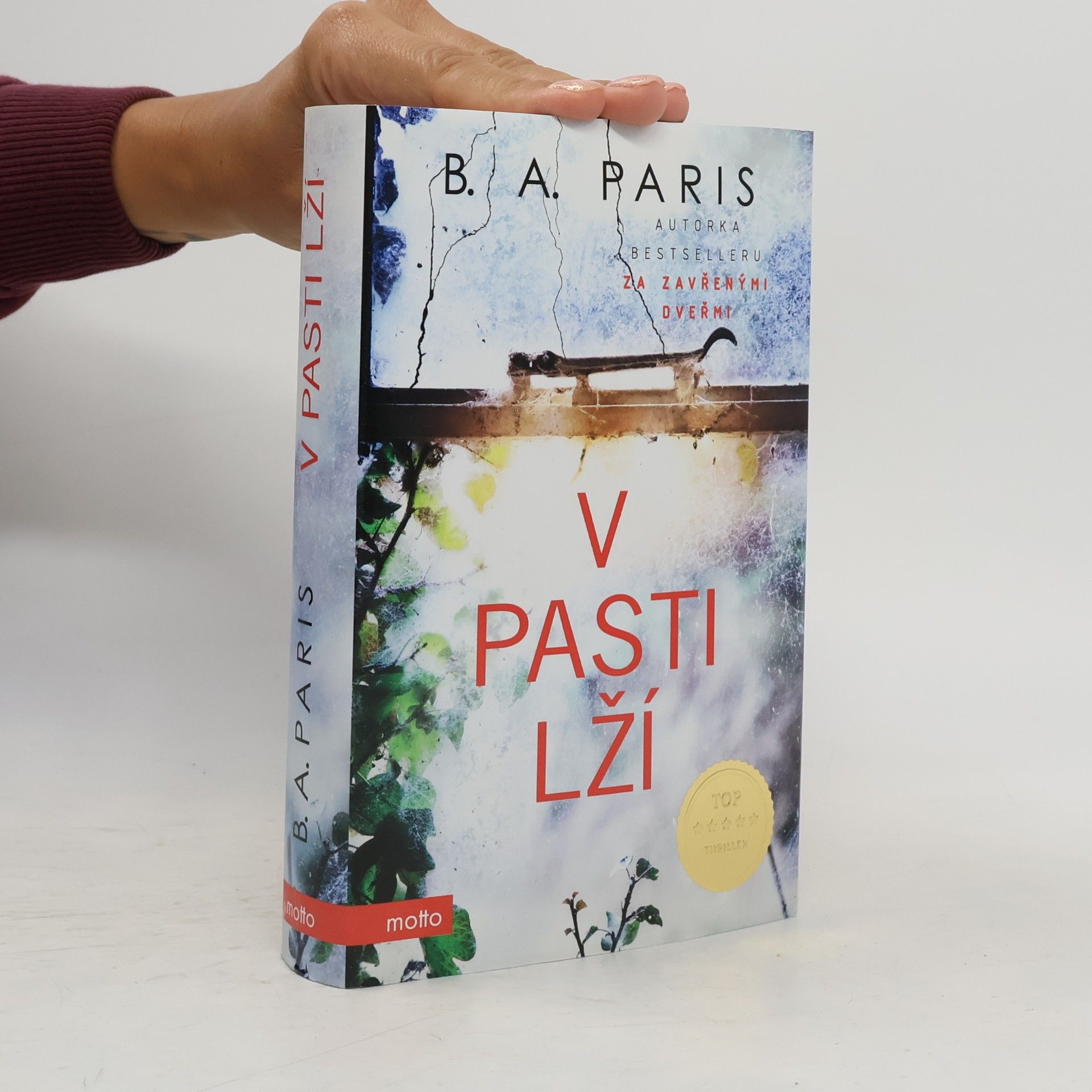 B.A. Paris V pasti lží