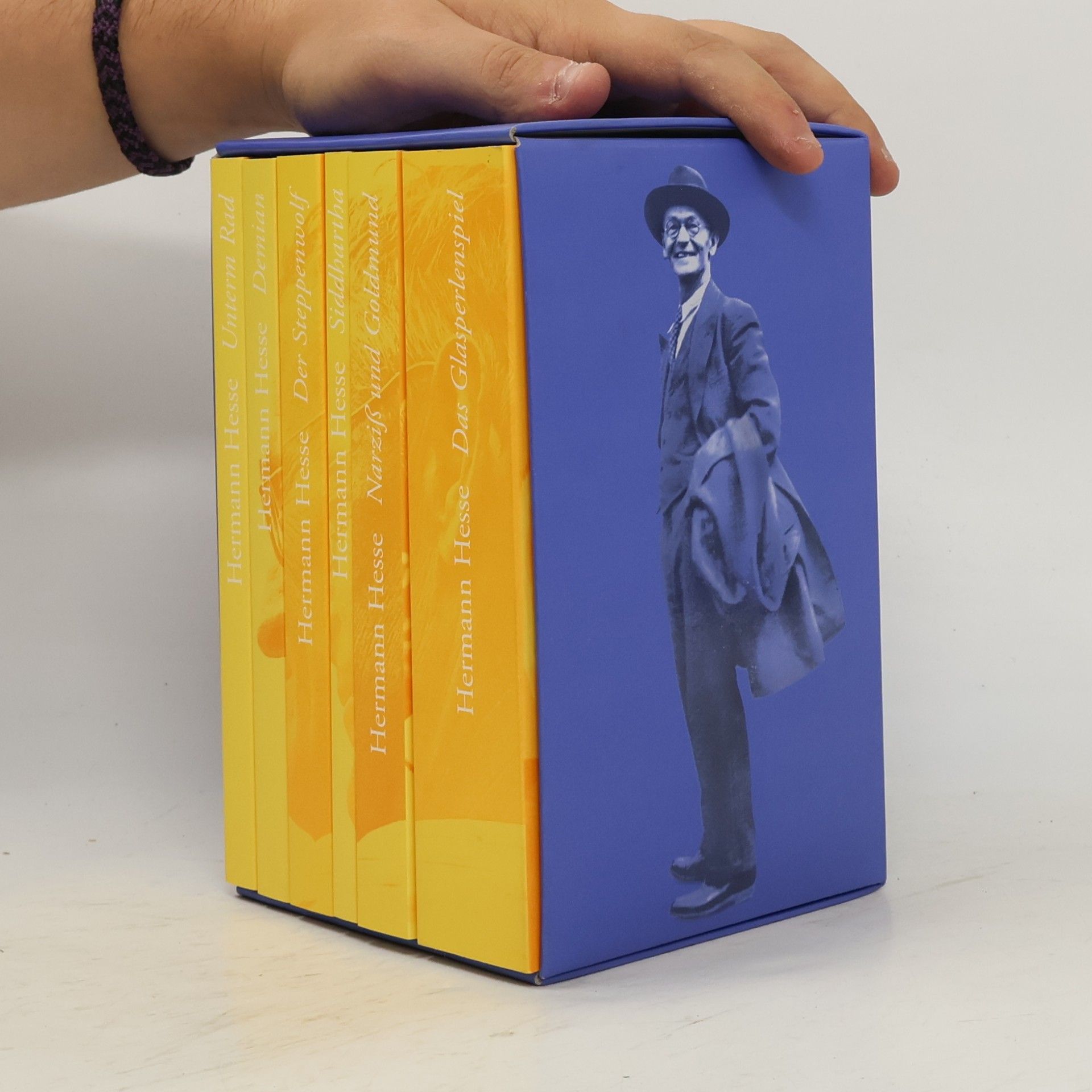 Hermann Hesse Unterm Rad. Demian. Siddhartha. Der Steppenwolf. Narziß und Goldmund. Das Glasperlenspiel