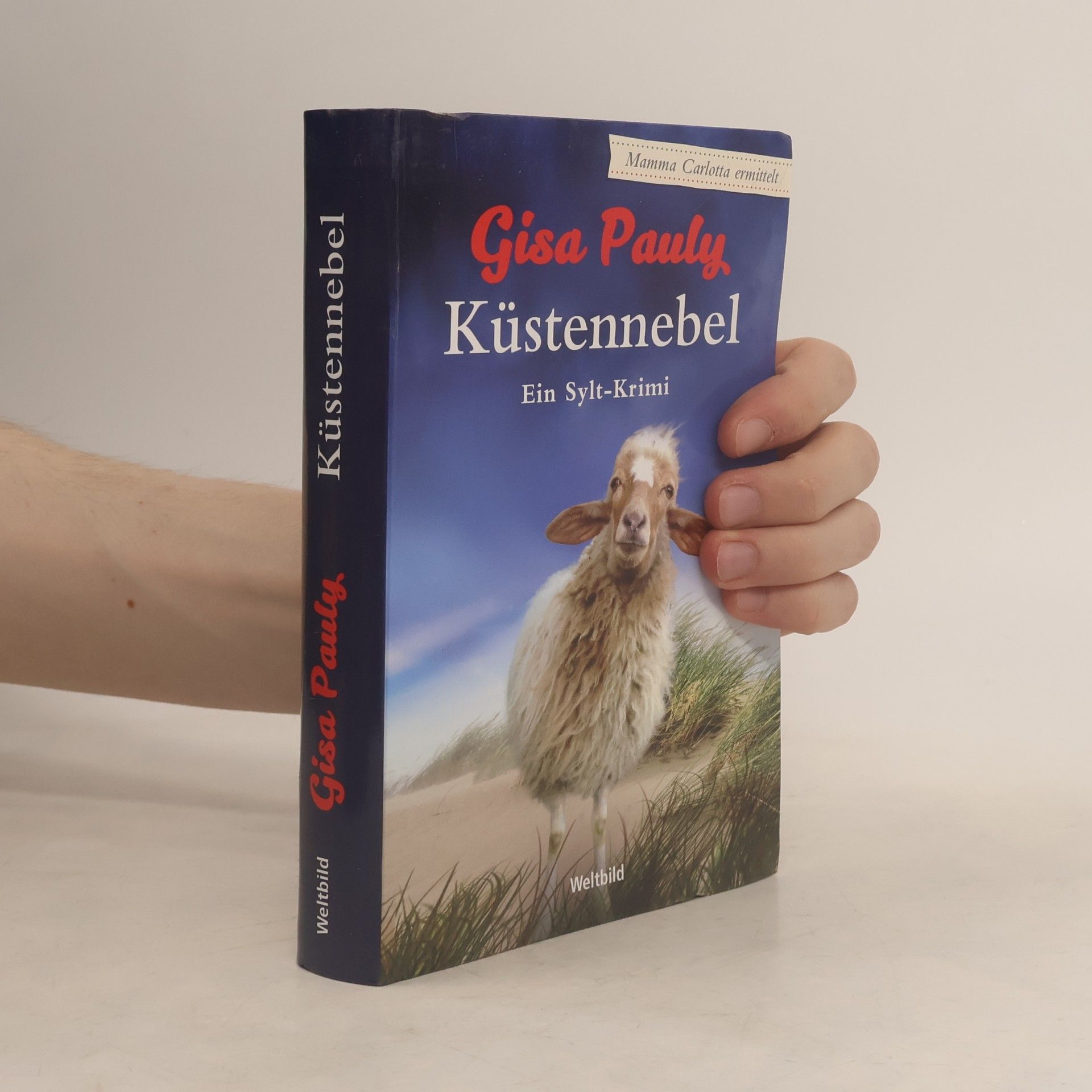 Gisela Pauly Küstennebel