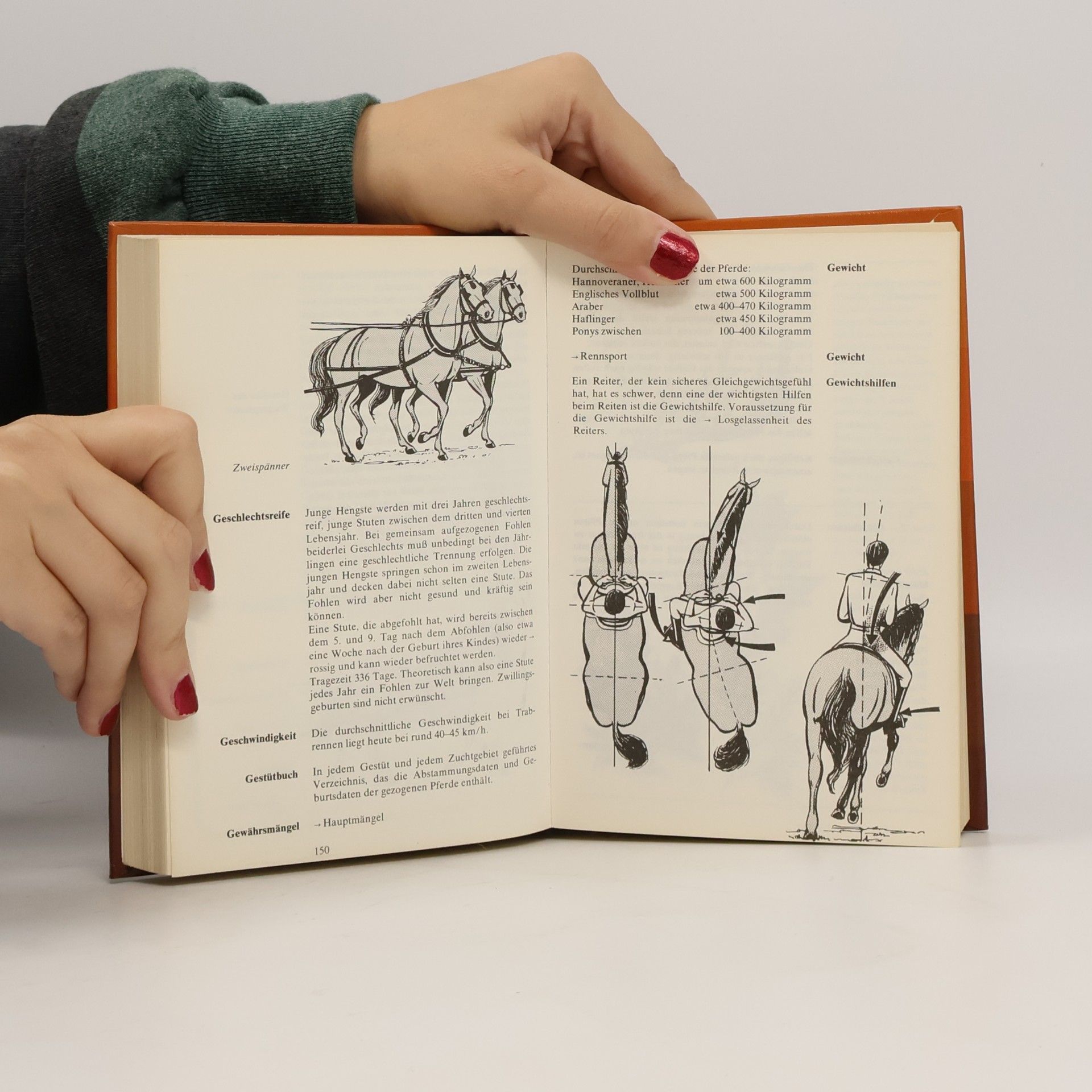 Sibylle Schleussner Reiten A-Z