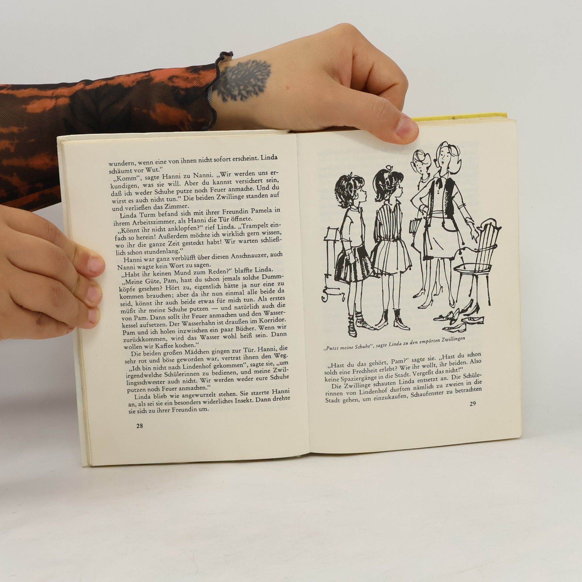 Enid Blyton Hanni und Nanni sind immer dagegen