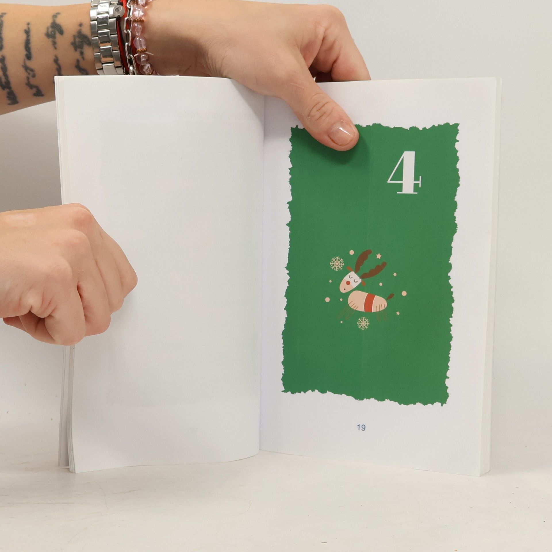 Klara Sauerwald Silbenbuch 1. Klasse - Adventskalender für Erstleser