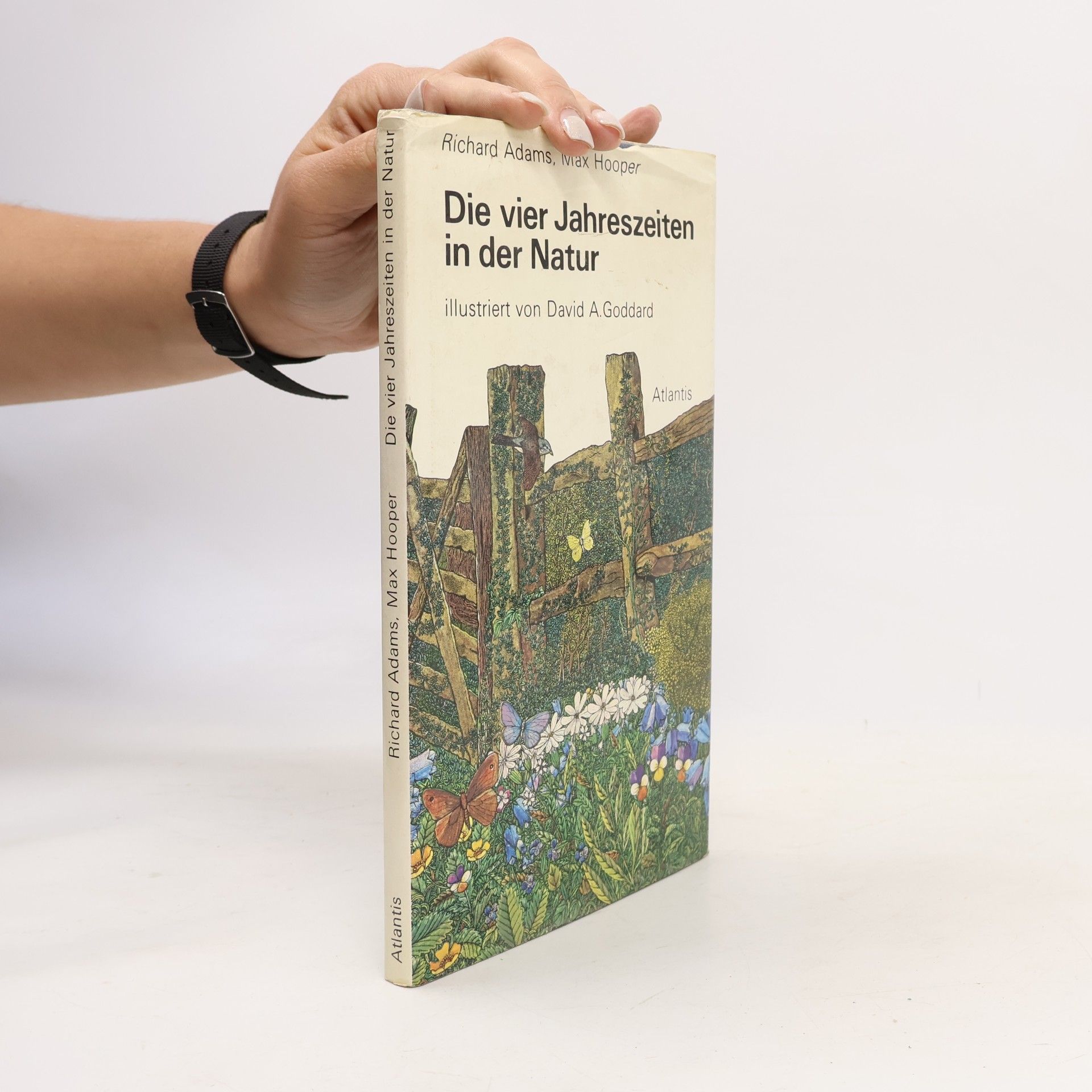 Die vier Jahreszeiten in der Natur