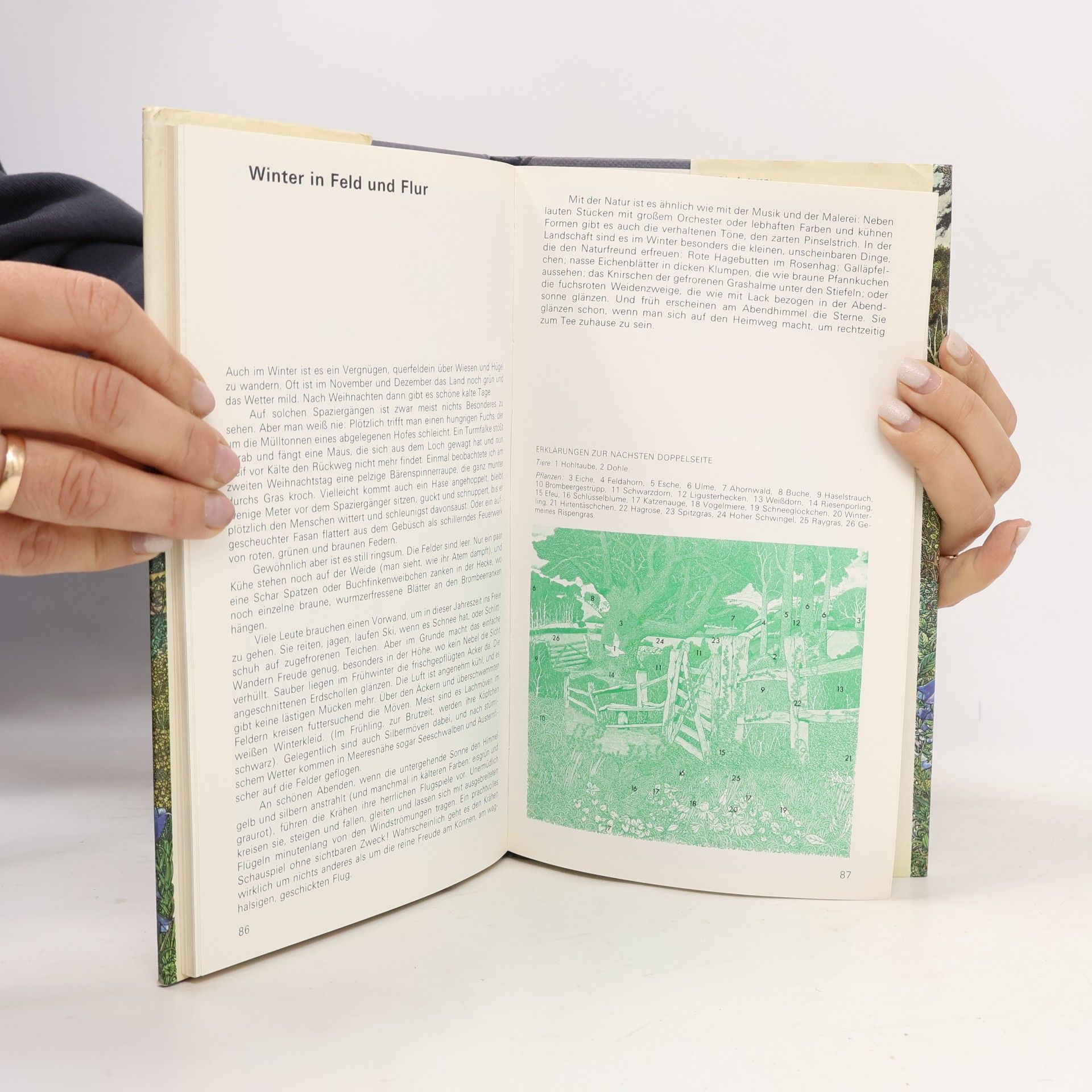 Richard Adams Die vier Jahreszeiten in der Natur