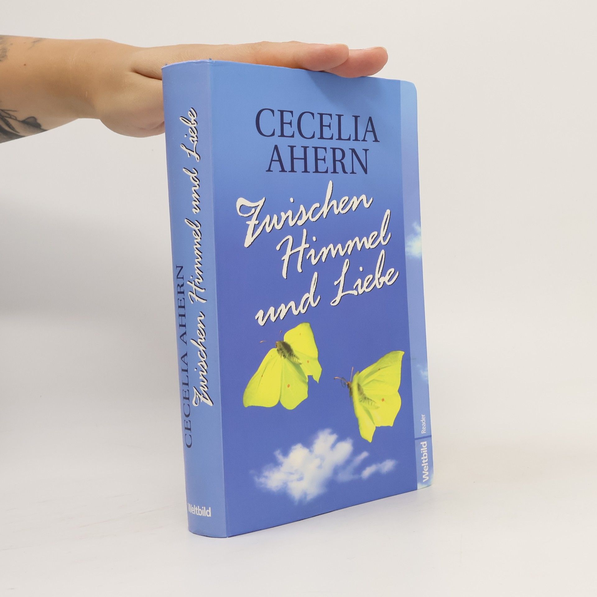 Cecelia Ahern Zwischen Himmel und Liebe