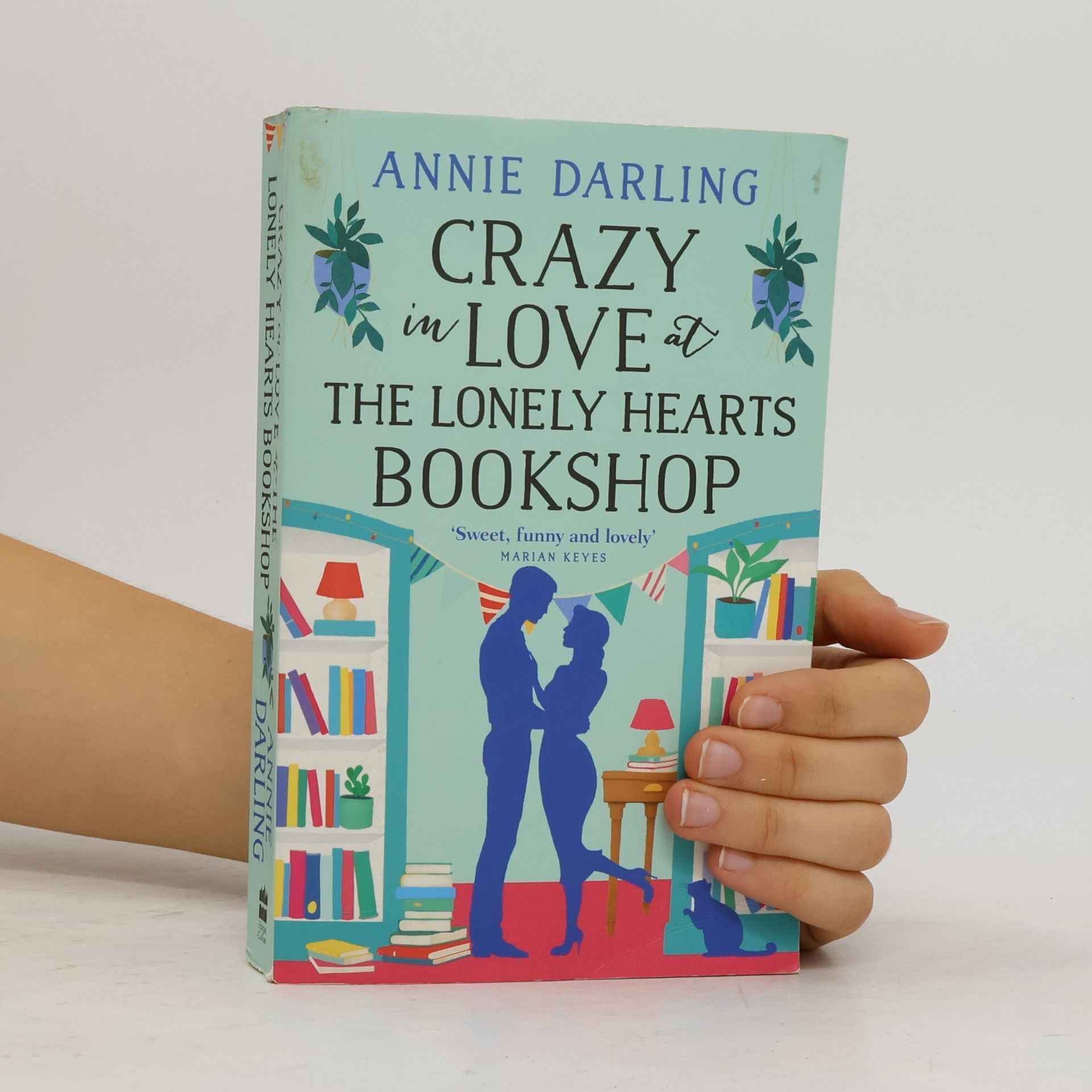 Annie Darling Crazy in Love at the Lonely Hearts Bookshop