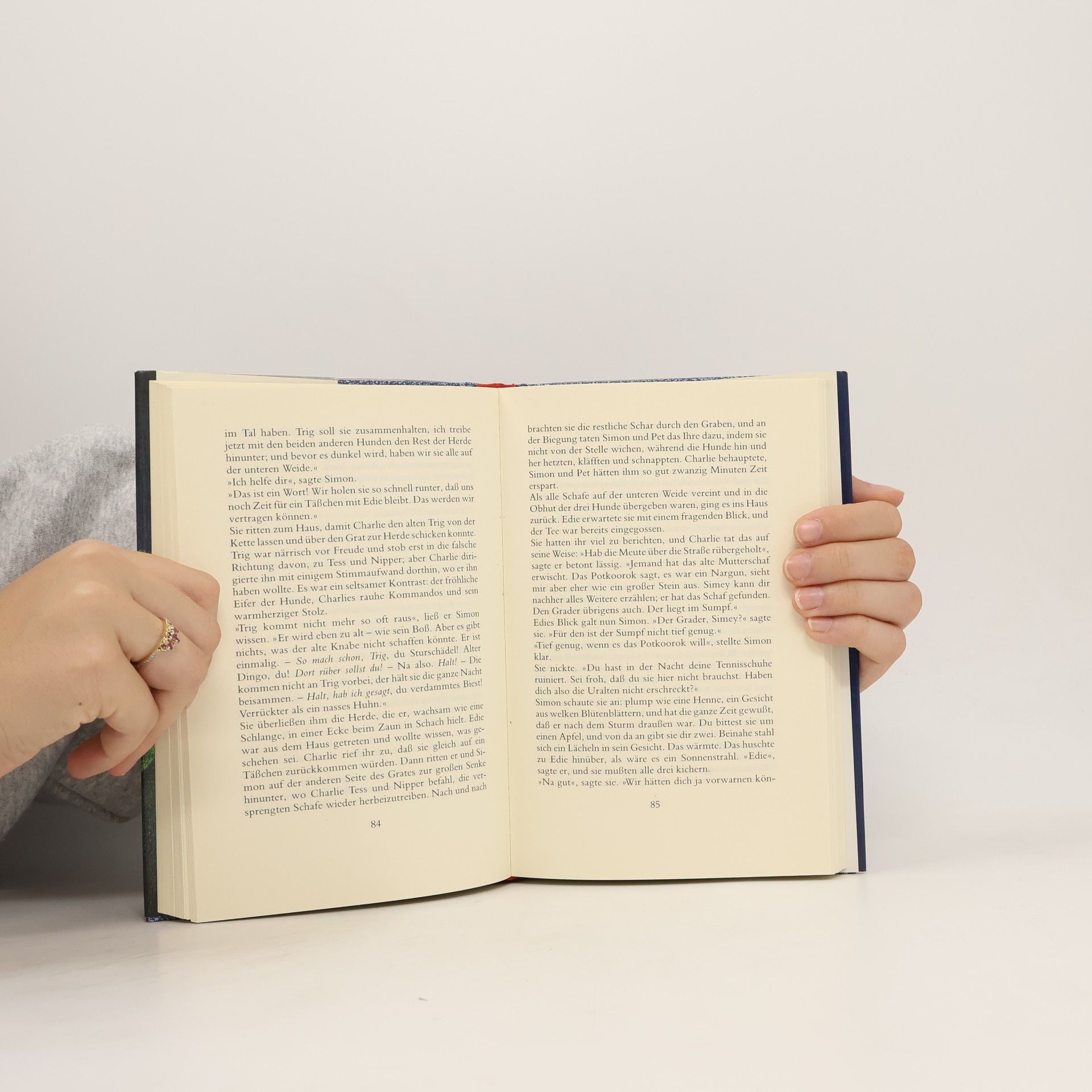 Patricia Wrightson Das Nargun und die Sterne