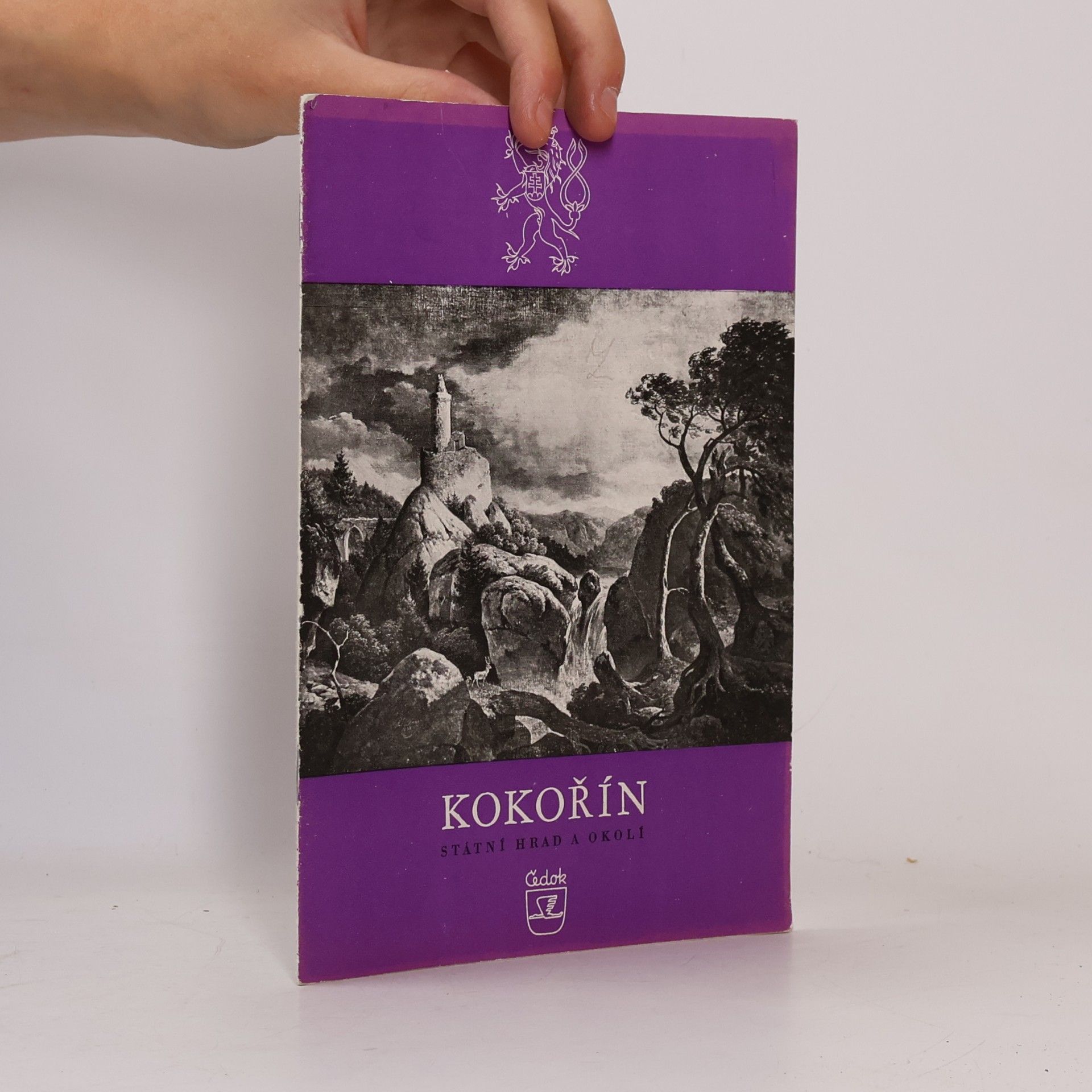 Kolektiv autorů Kokořín. Státní hrad a okolí