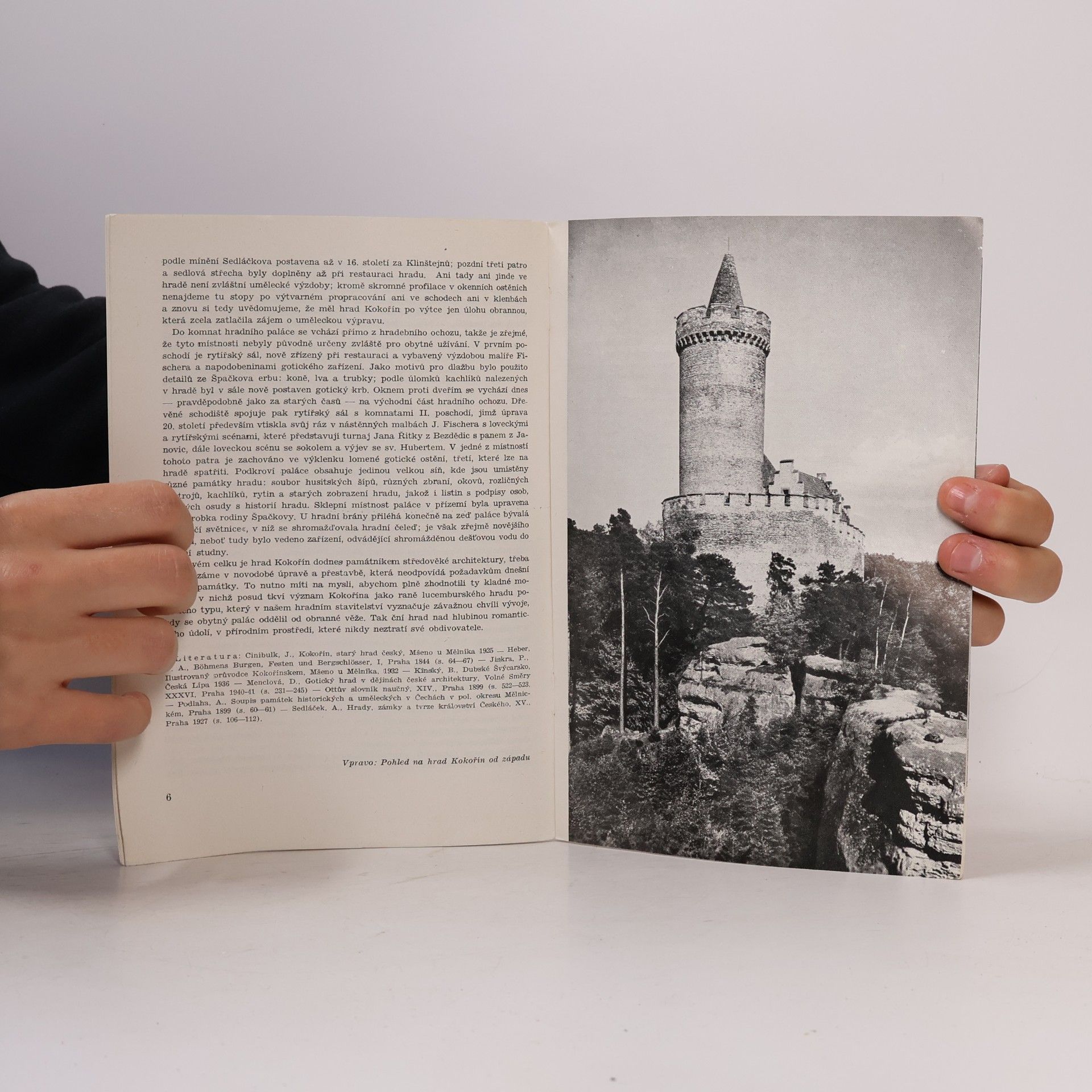 Kolektiv autorů Kokořín. Státní hrad a okolí