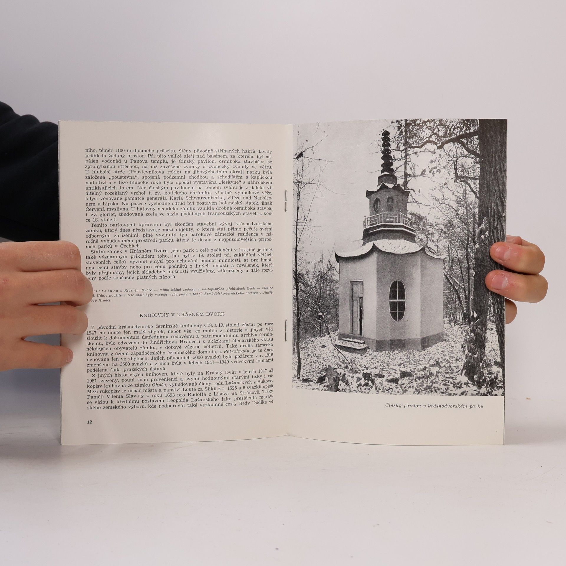 Kolektiv autorů Krásný dvůr, státní zámek a okolí
