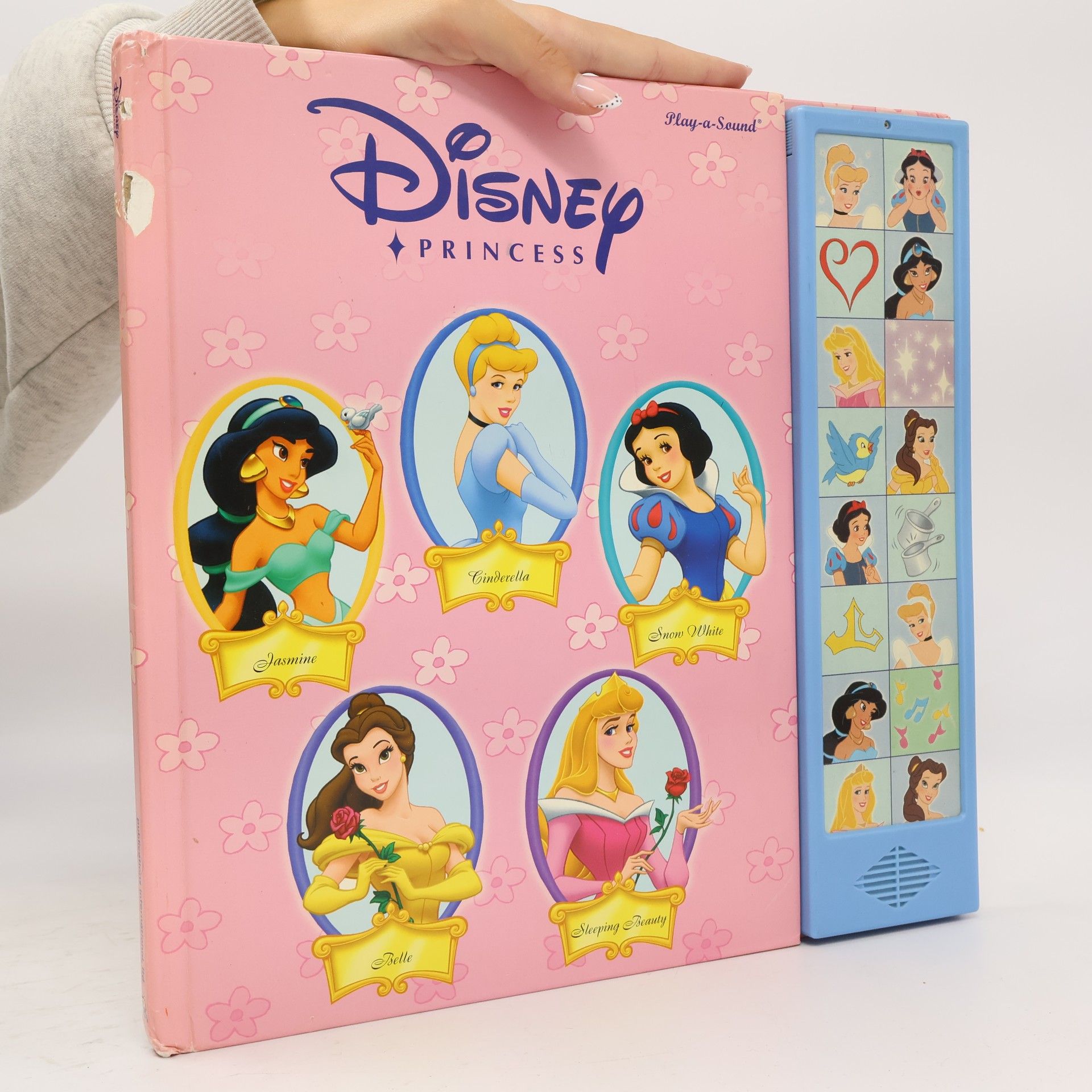 Dana Richter Disney Princess Play-A-Sound