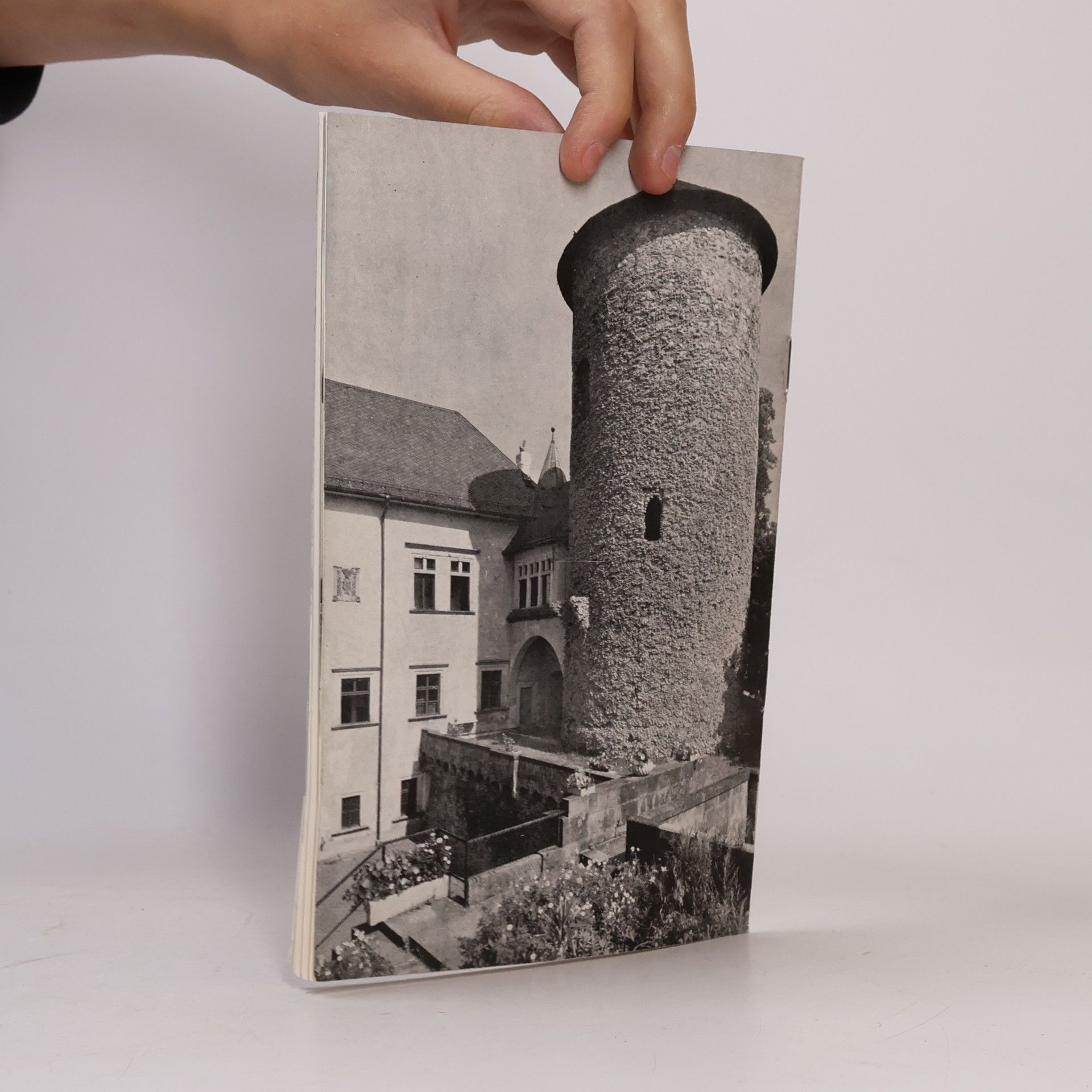 Kolektiv autorů Šternberk na Moravě – státní hrad, město a okolí
