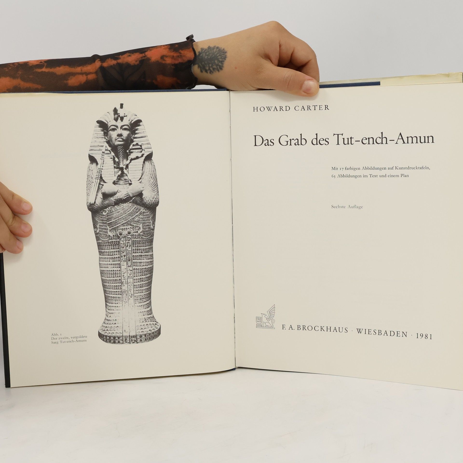 Howard Carter Das Grab des Tut-ench-Amun